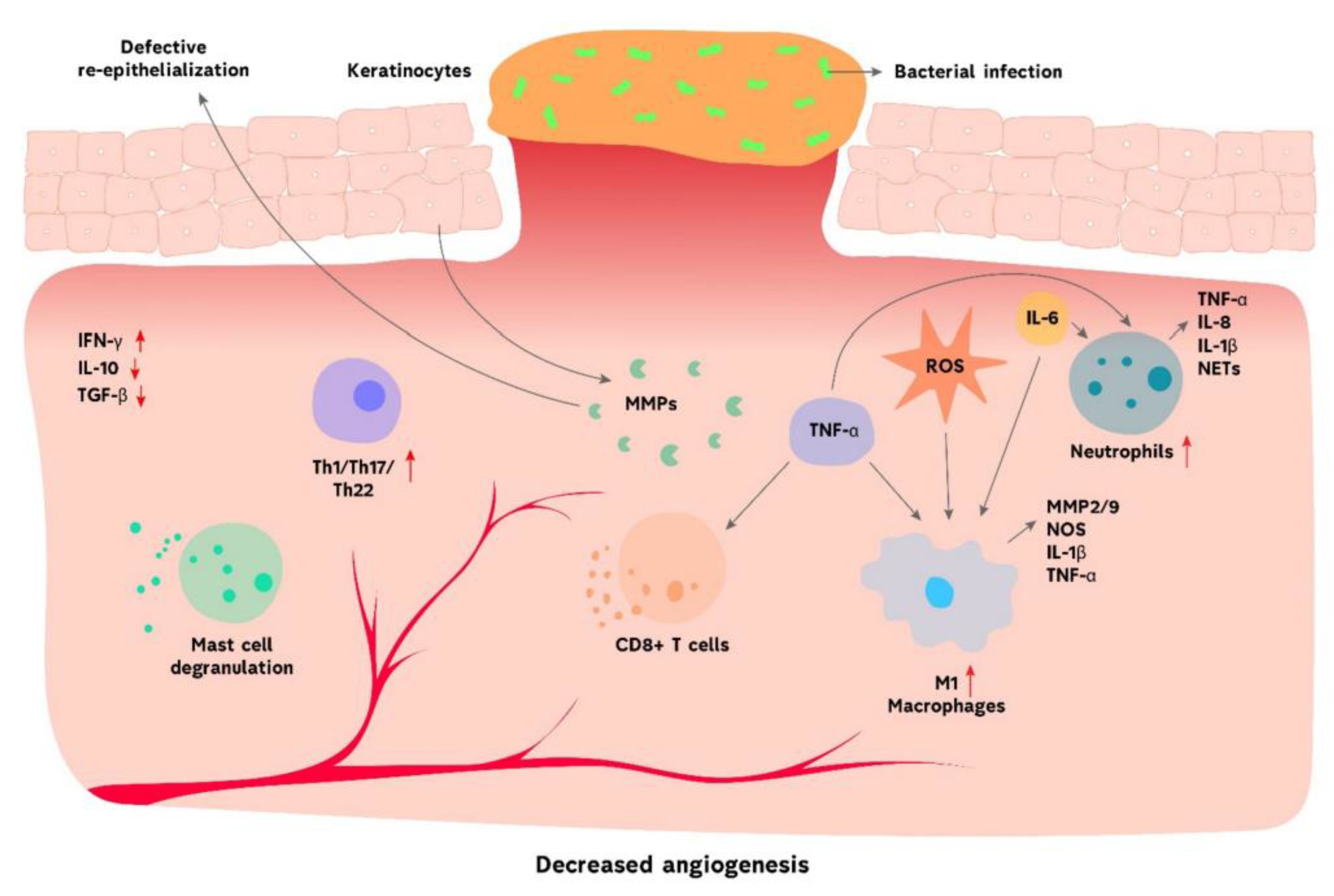 Polymers 14 03806 g002