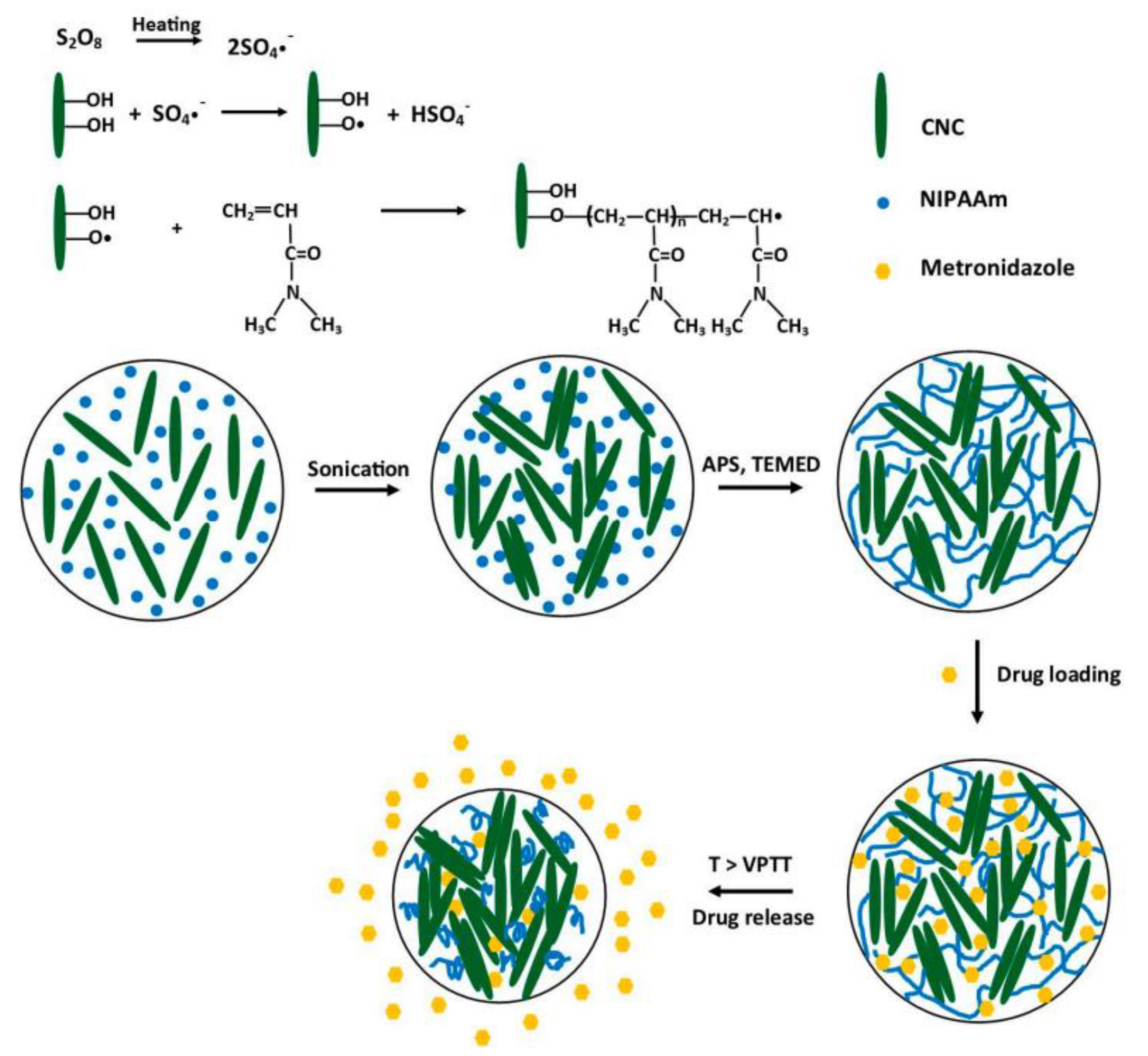 Polymers 14 03806 g006