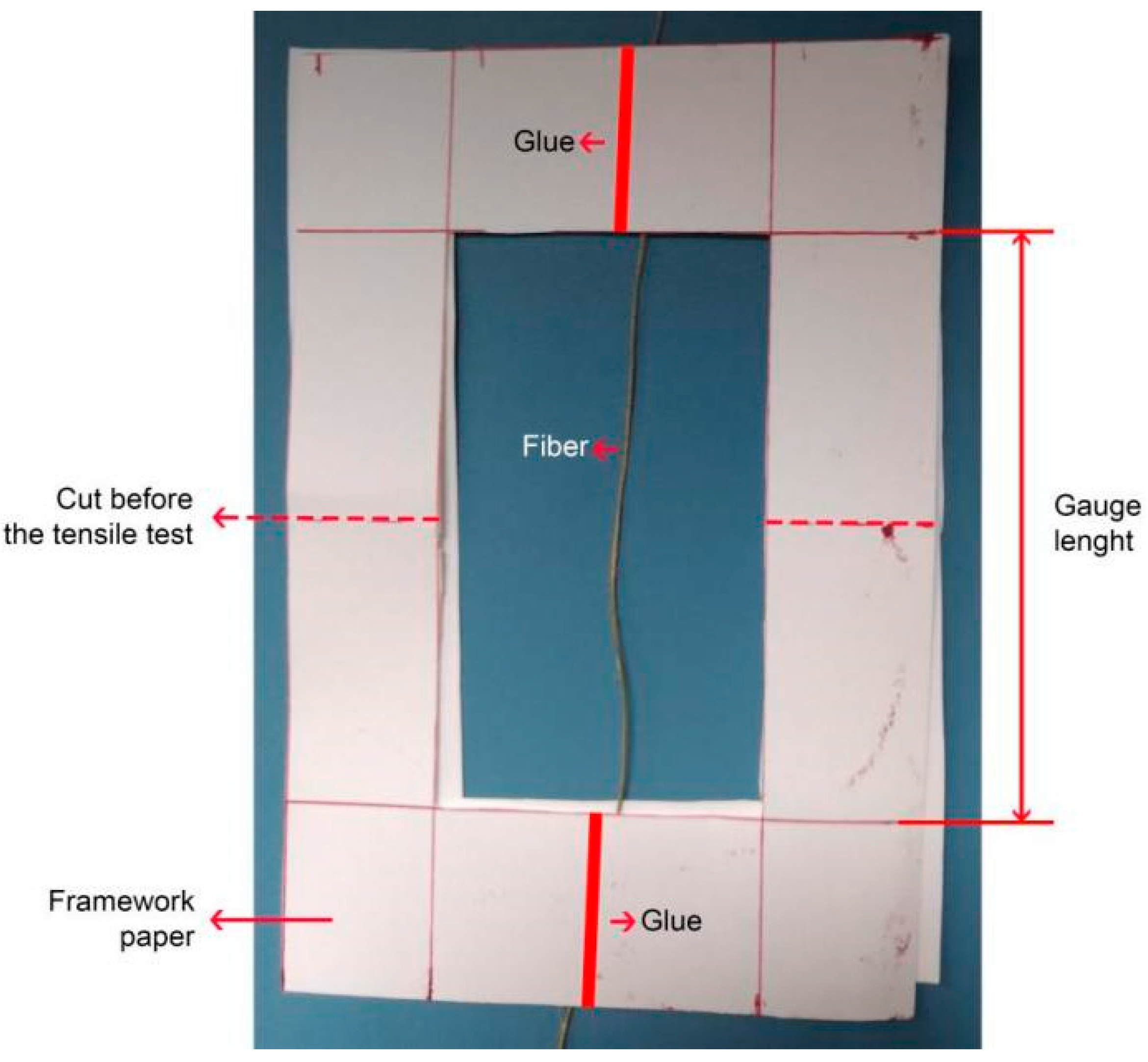 Polymers 14 03807 g002