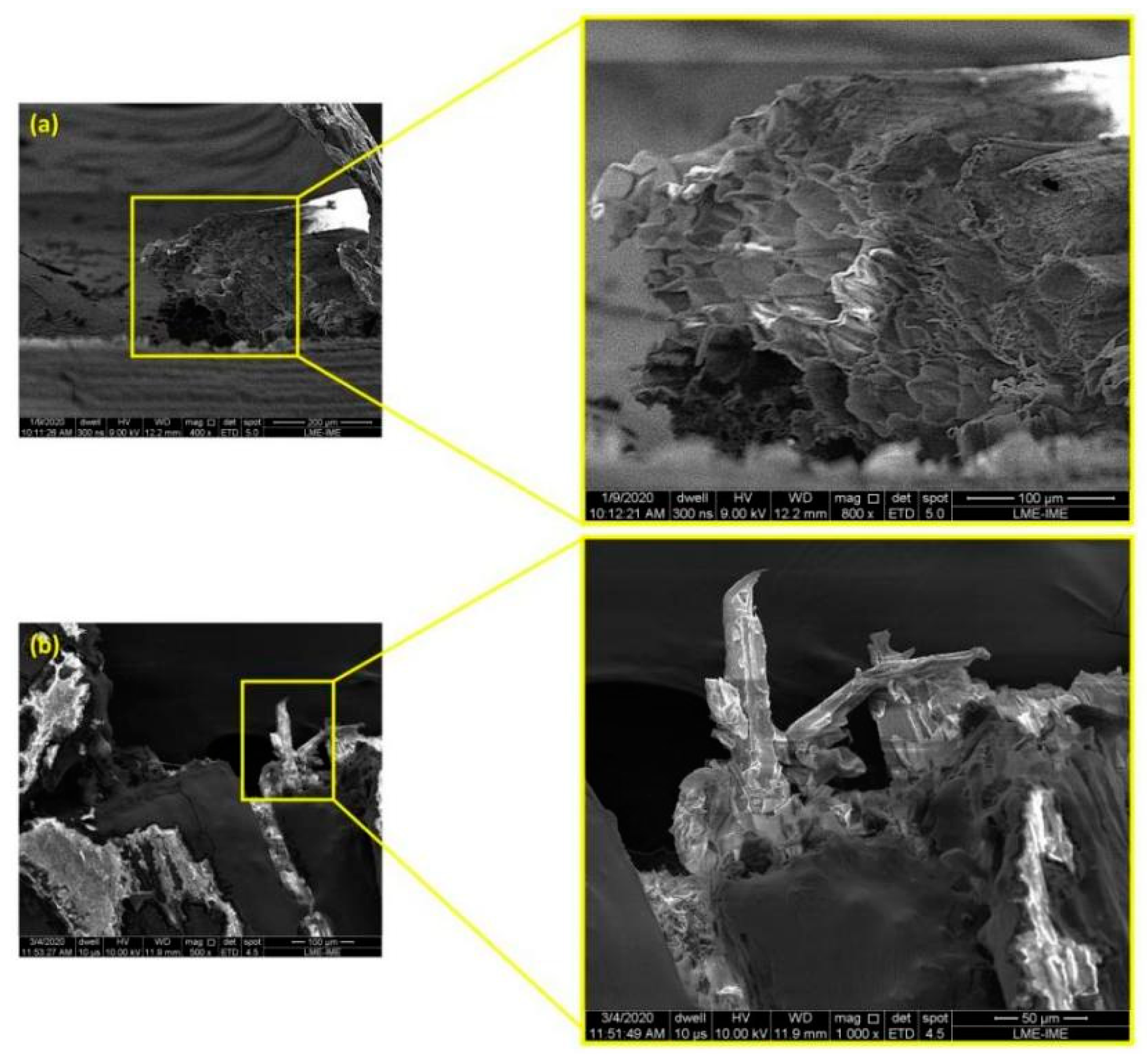 Polymers 14 03807 g006