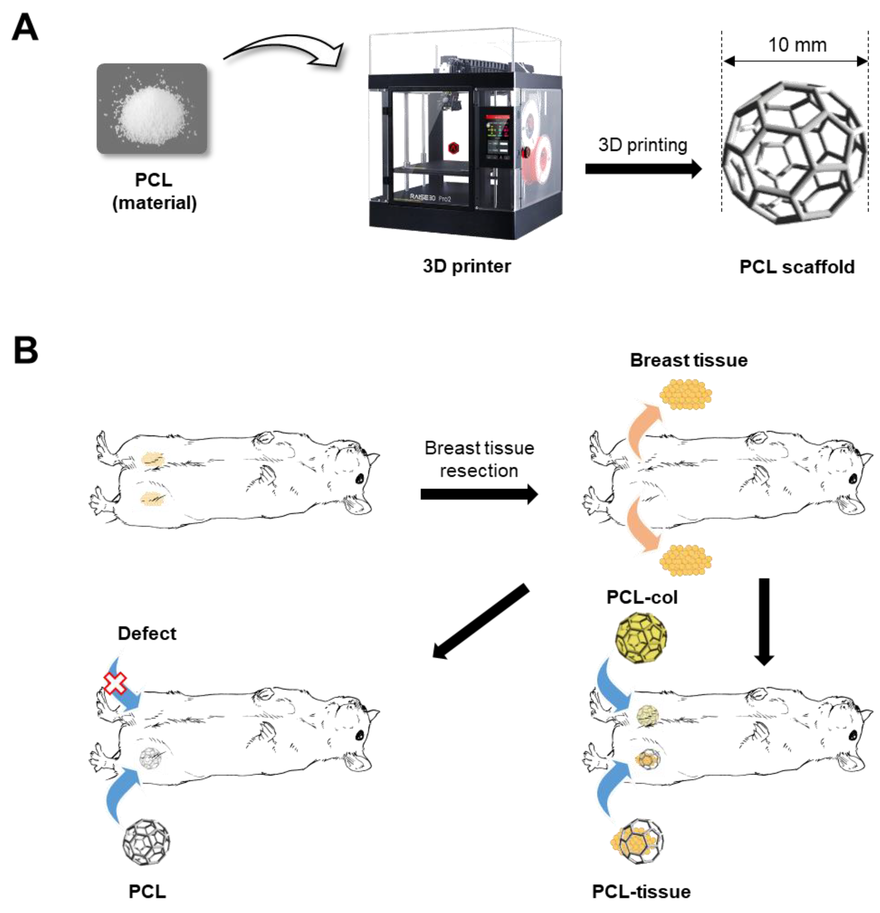 Polymers 14 03817 sch001 550