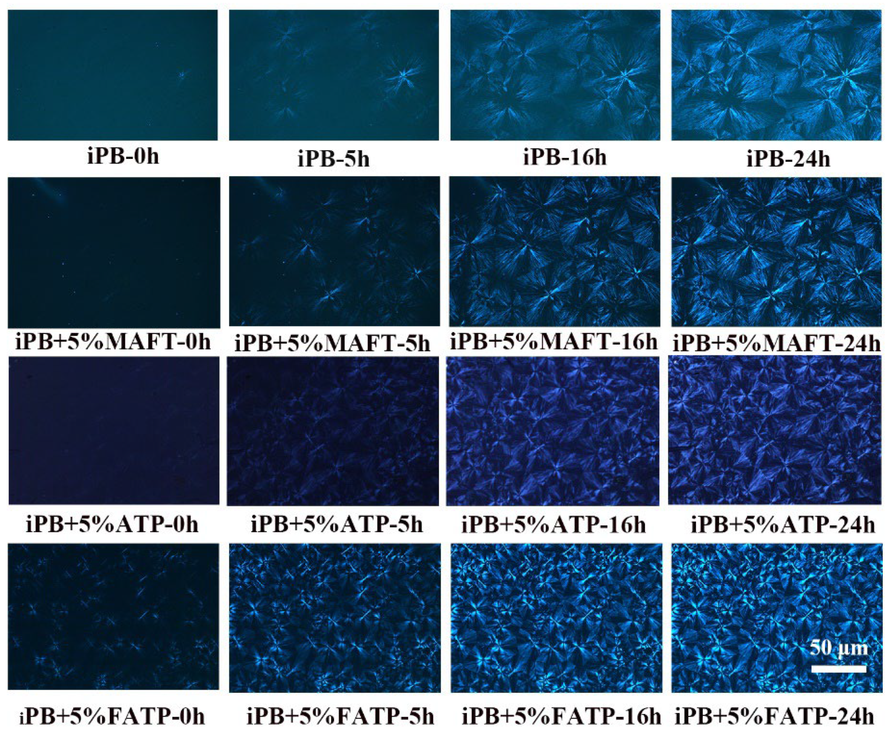 Polymers 14 03820 g014