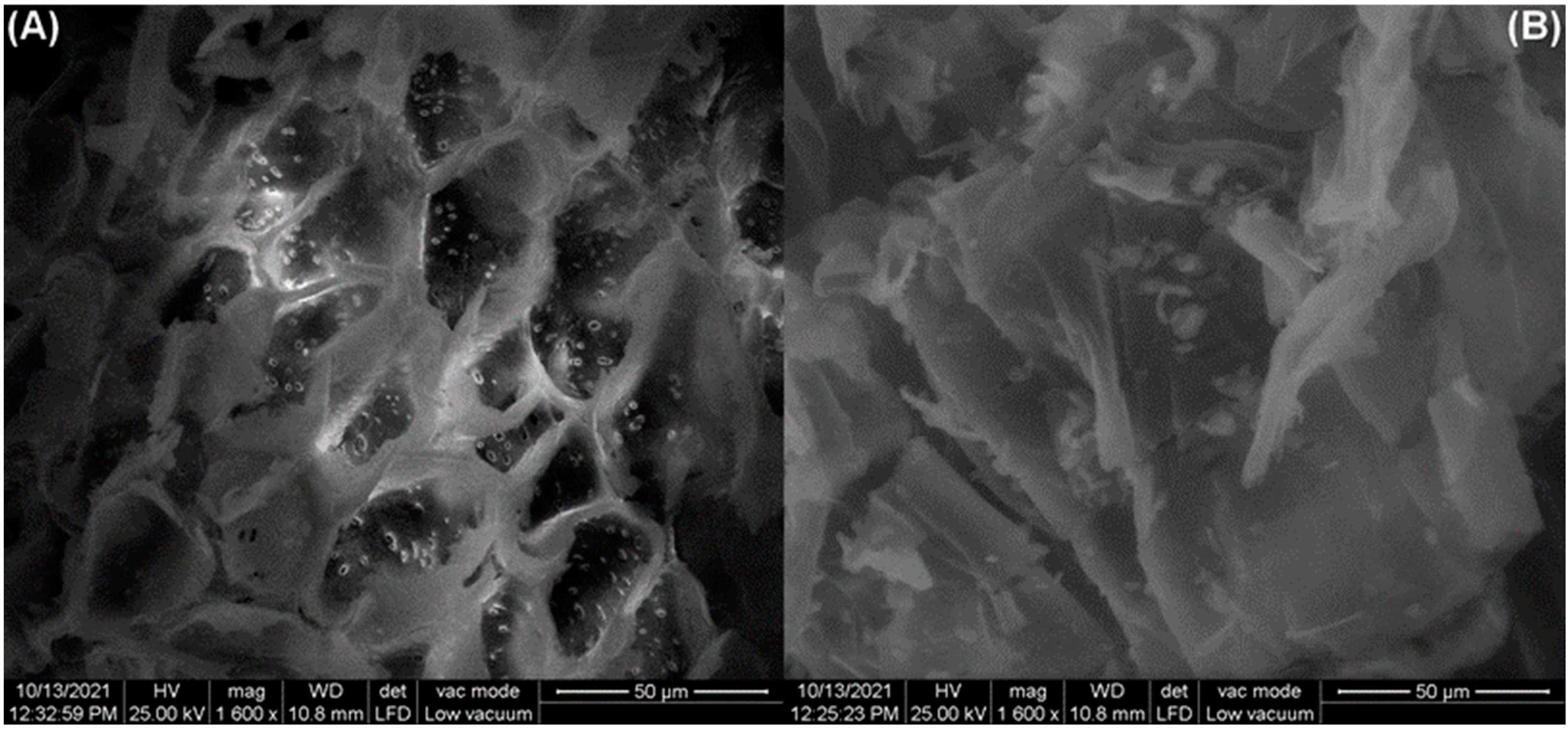 Polymers 14 03825 g003 Polymers 14 03825 g003