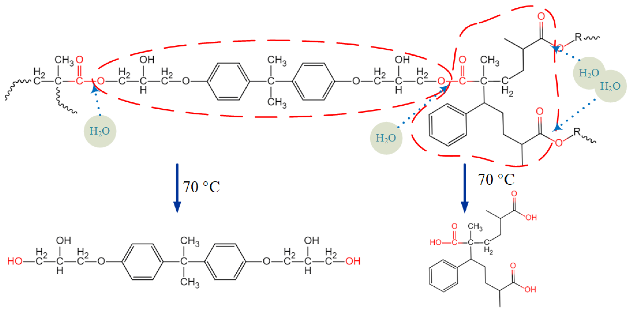 Polymers 14 03828 g005