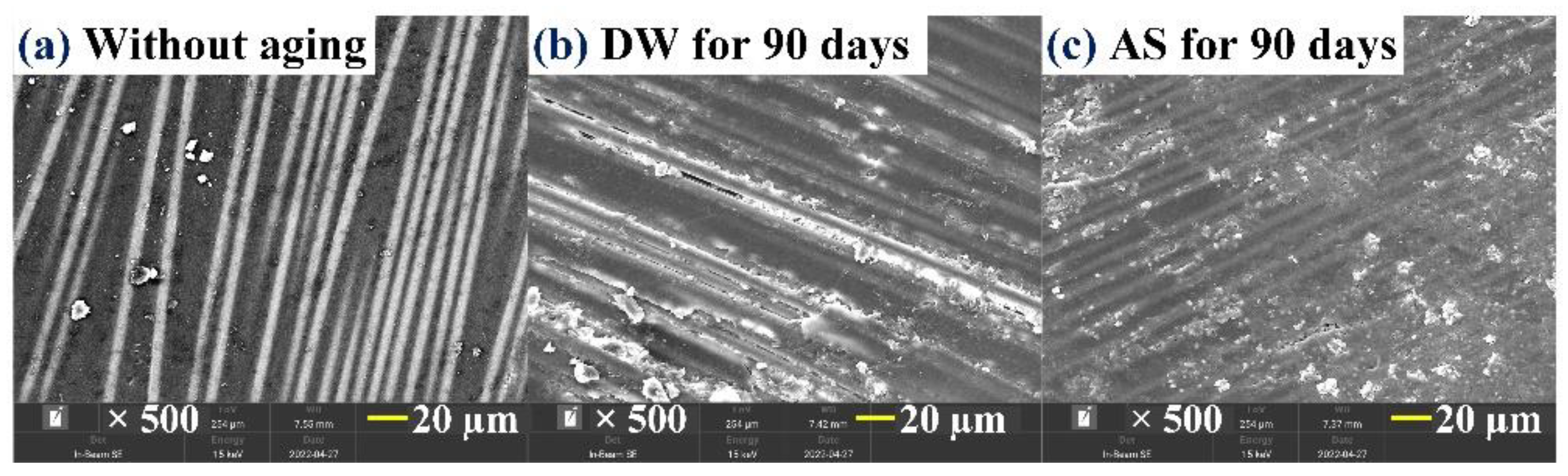 Polymers 14 03828 g007