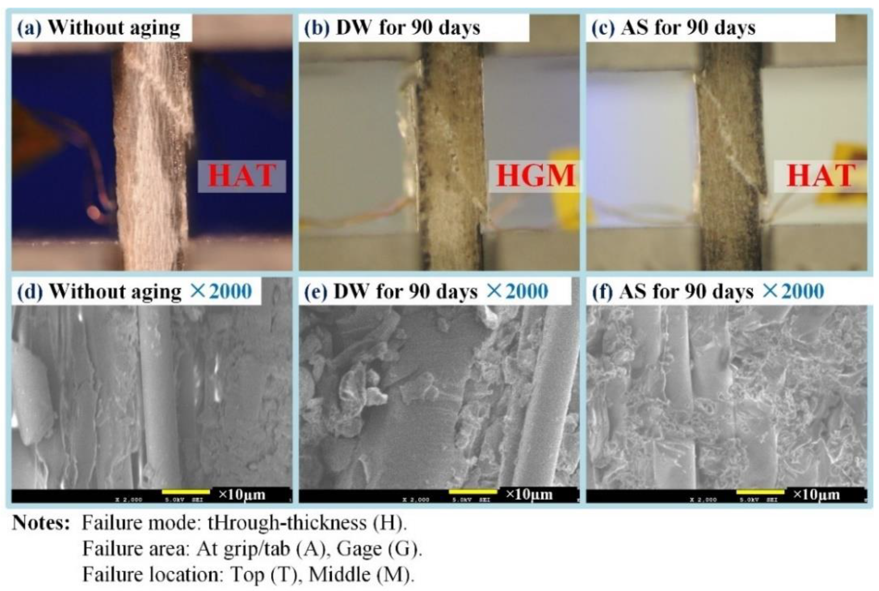 Polymers 14 03828 g014