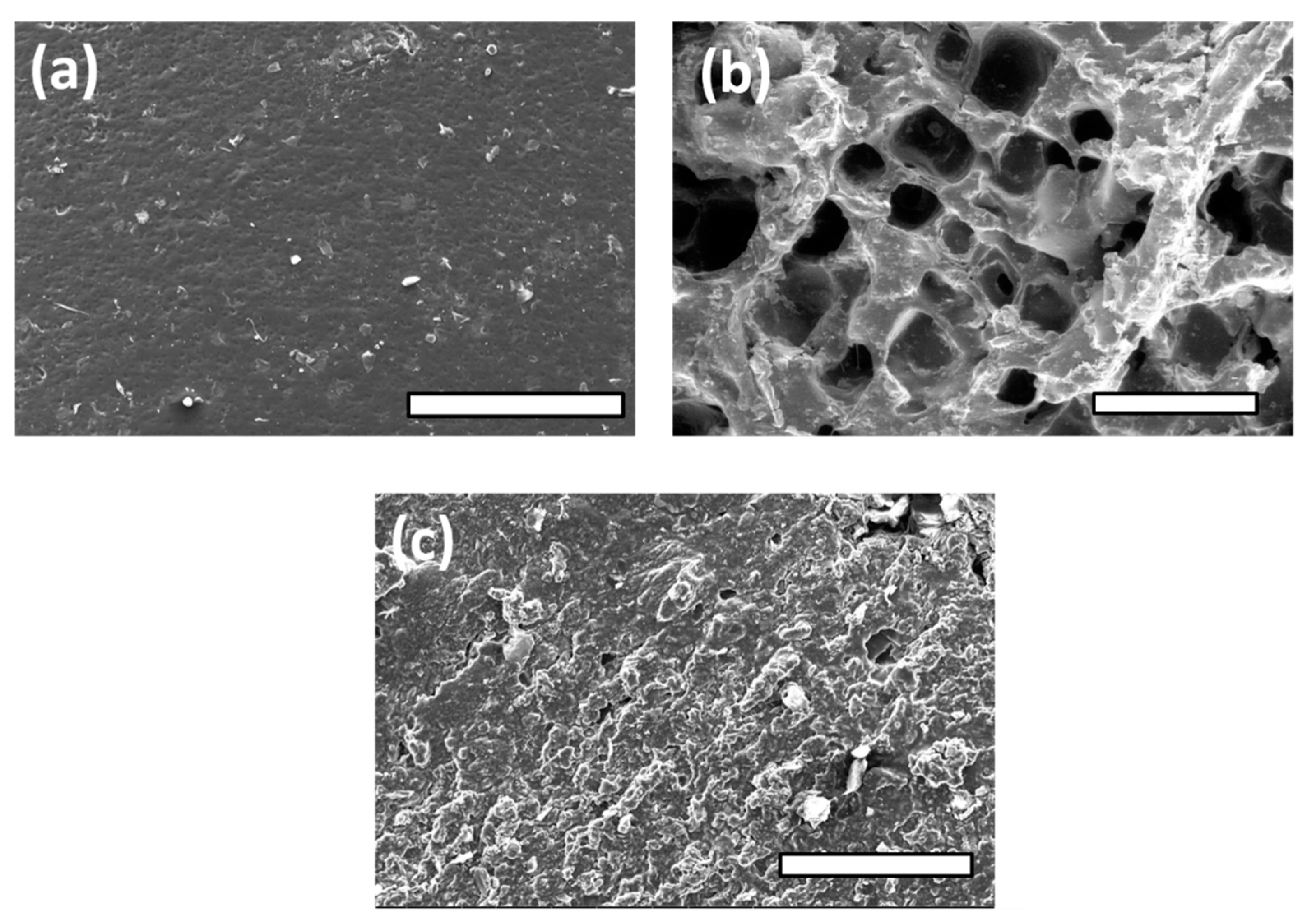 Polymers 14 03829 g006