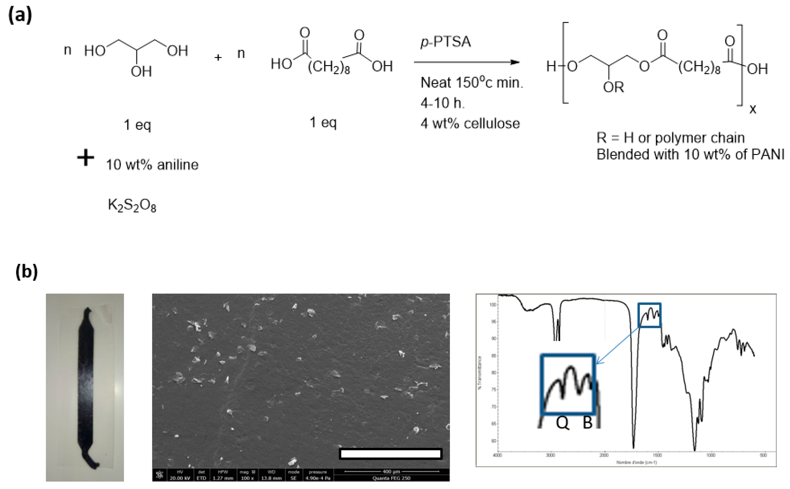 Polymers 14 03829 g011
