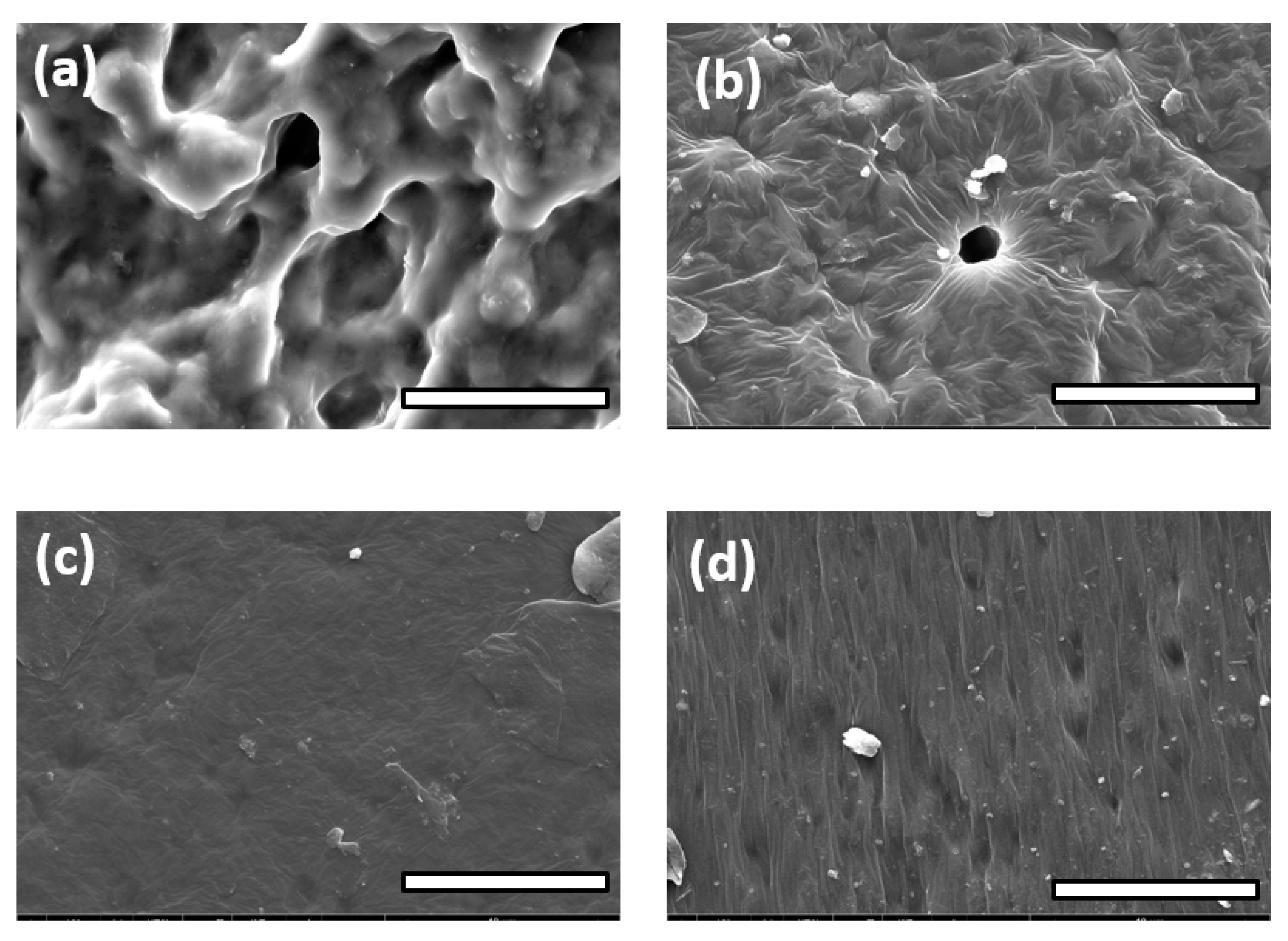 Polymers 14 03829 g013