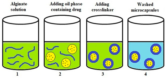 Preparation and Characteristics of Alginate Microparticles