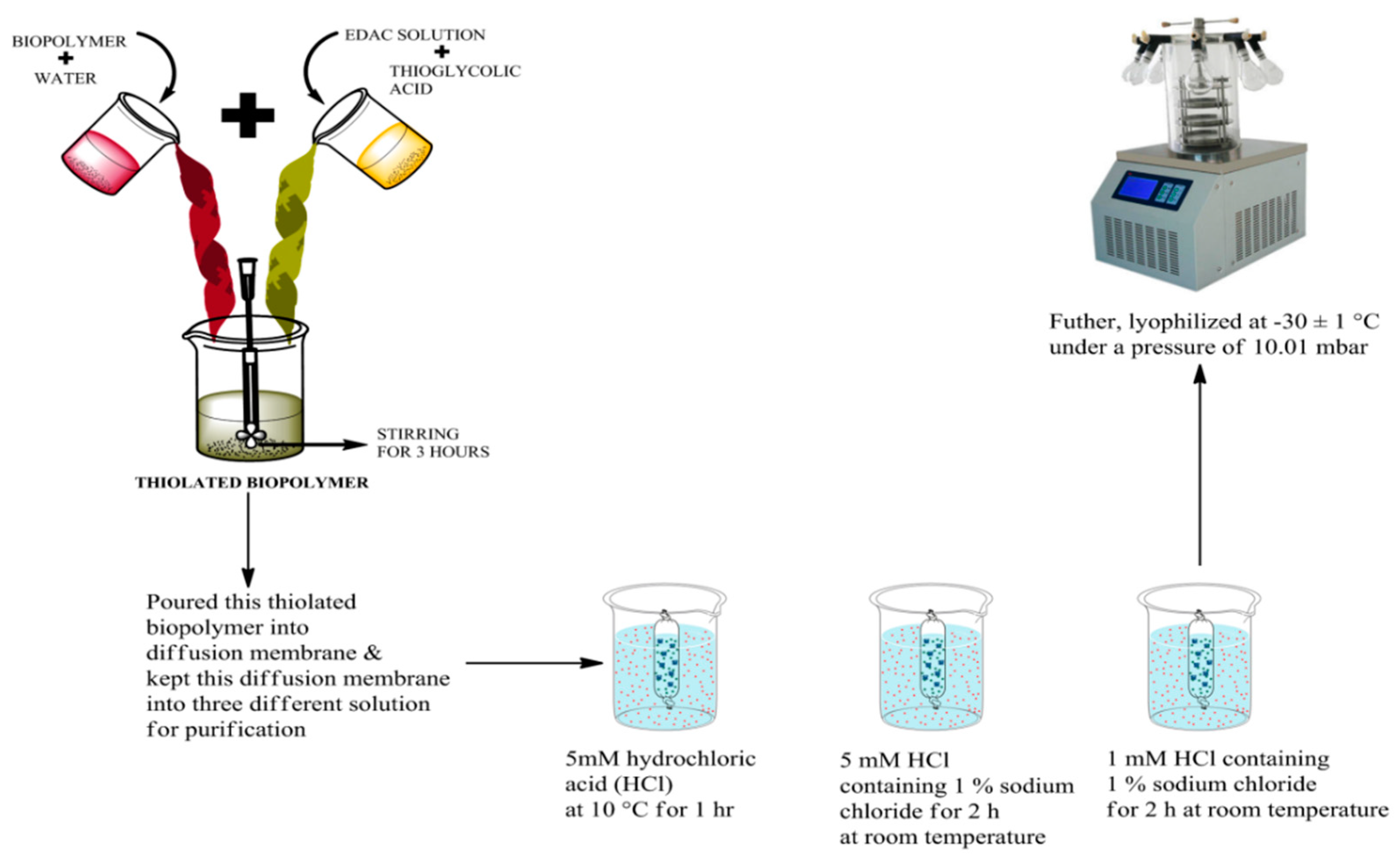 Polymers 14 03836 g001
