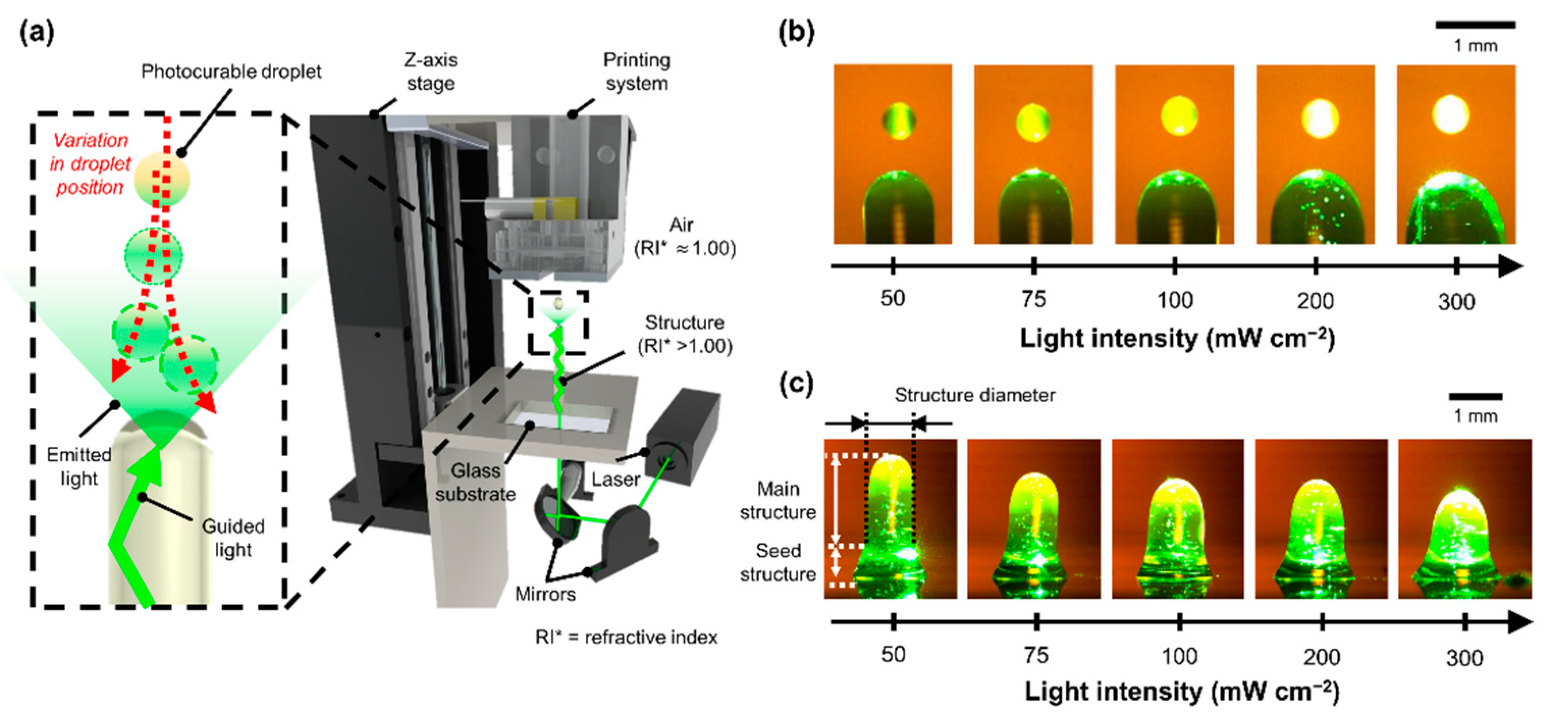 Polymers 14 03839 g001