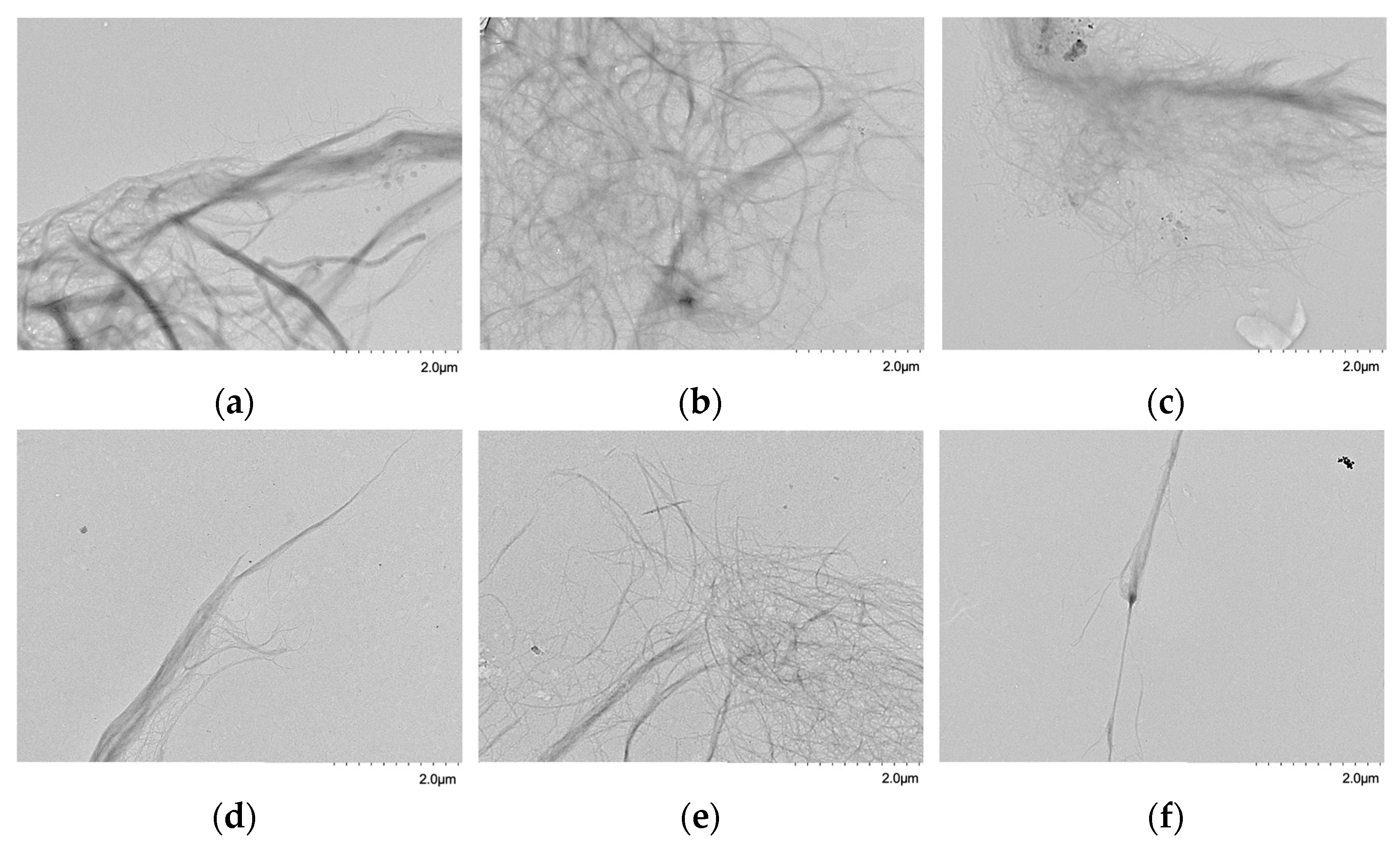 Polymers 14 03843 g001