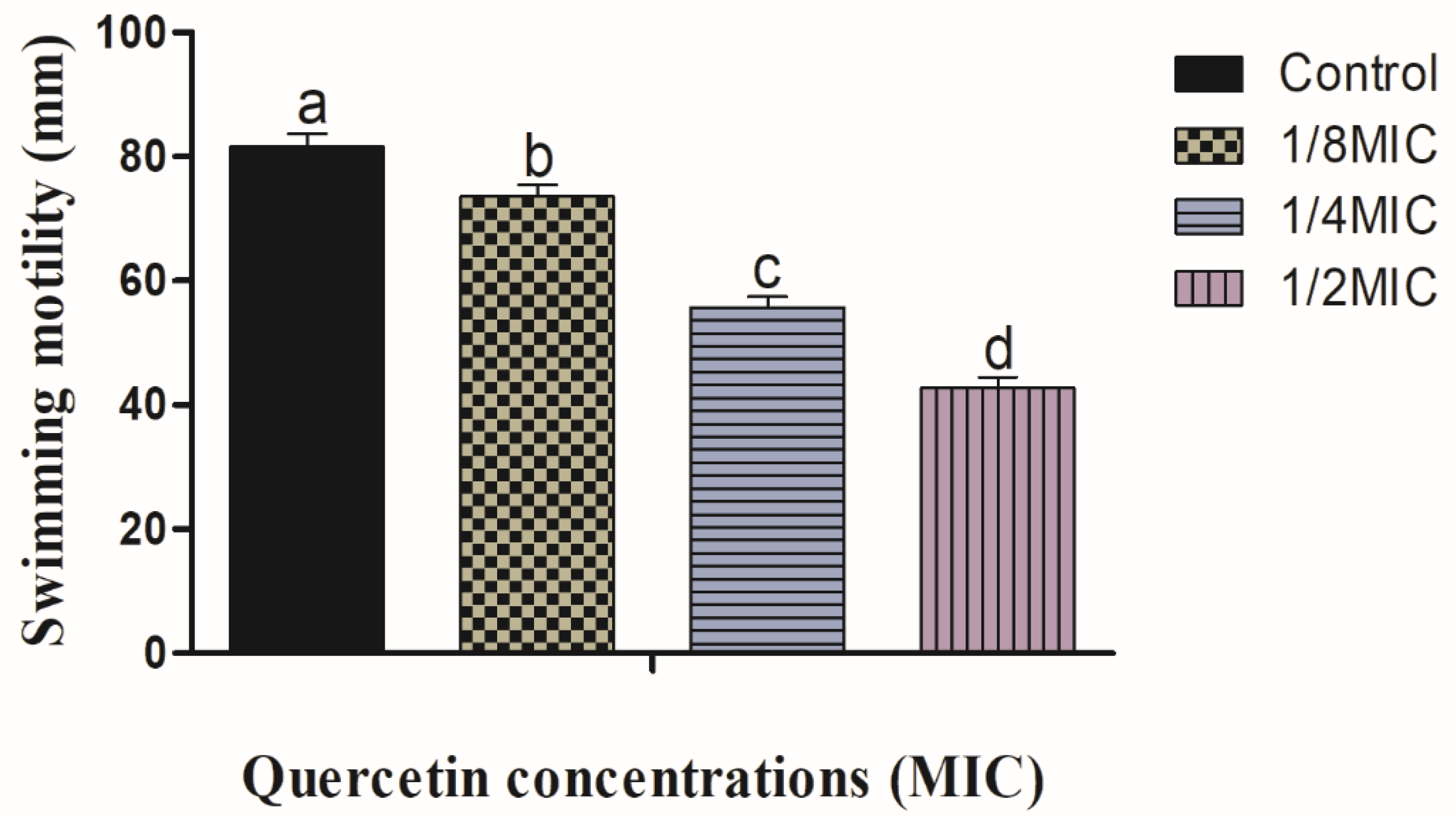 Polymers 14 03847 g001