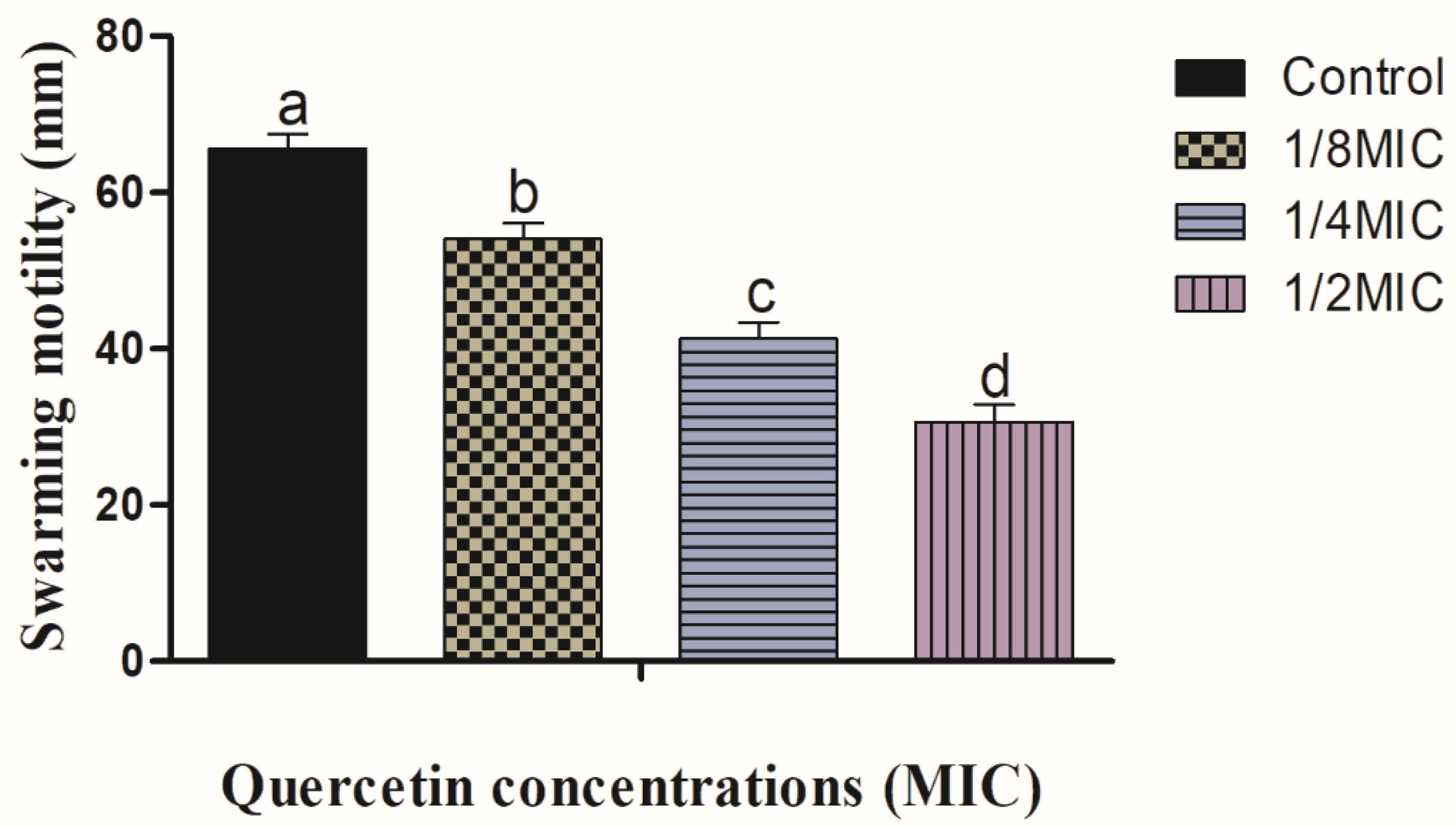 Polymers 14 03847 g002