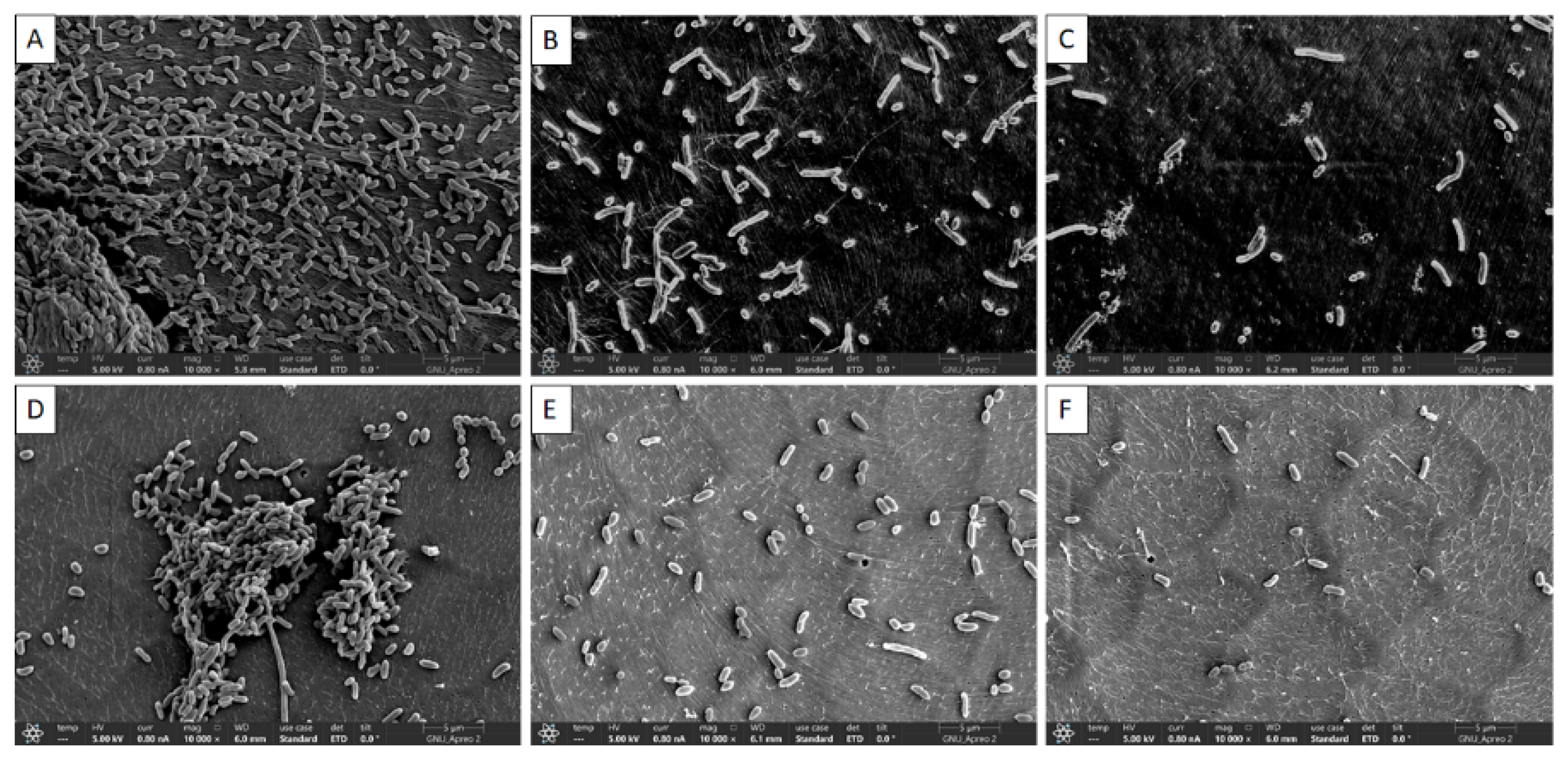 Polymers 14 03847 g005