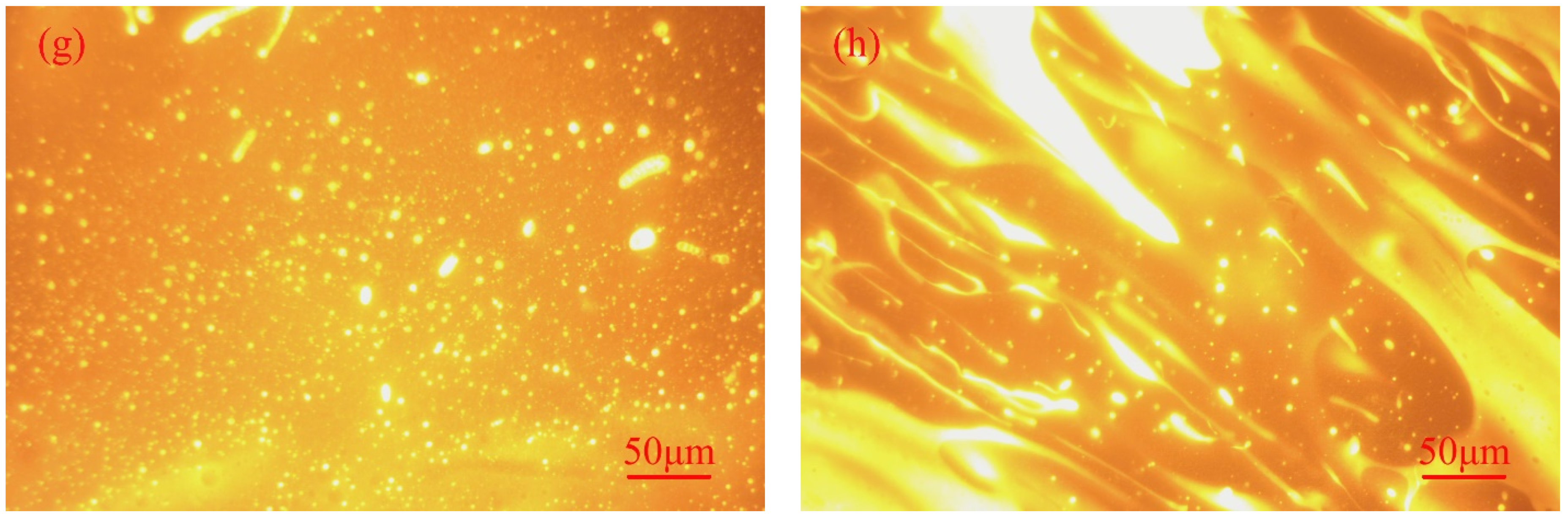Polymers 14 03848 g011b Polymers 14 03848 g011b