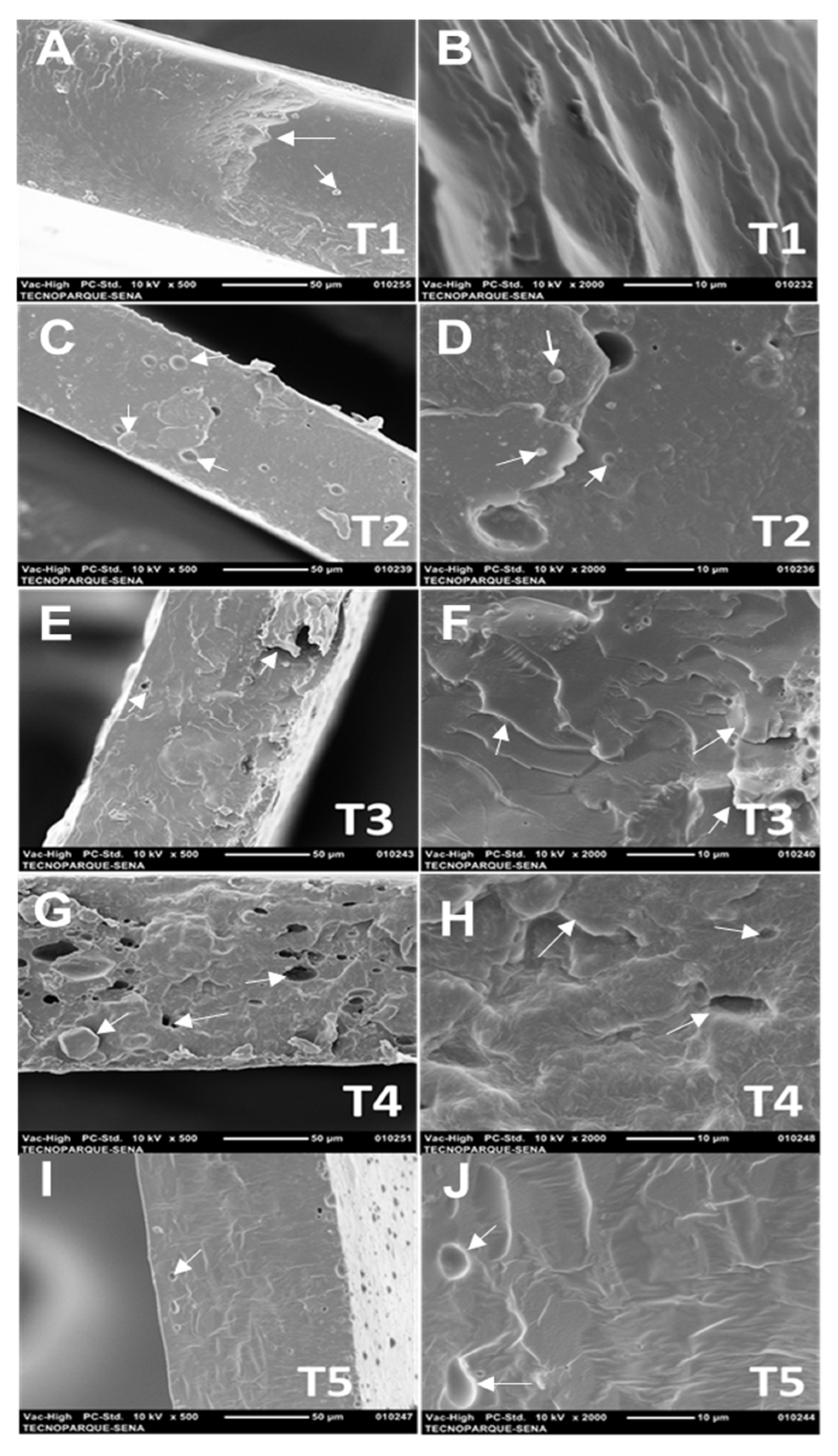 Polymers 14 03849 g004