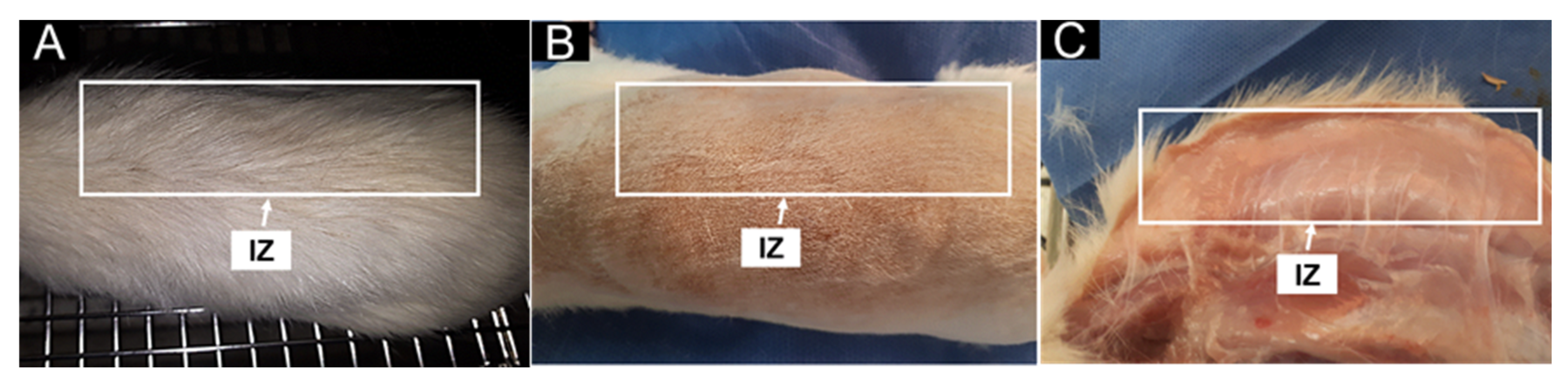 Polymers 14 03849 g006