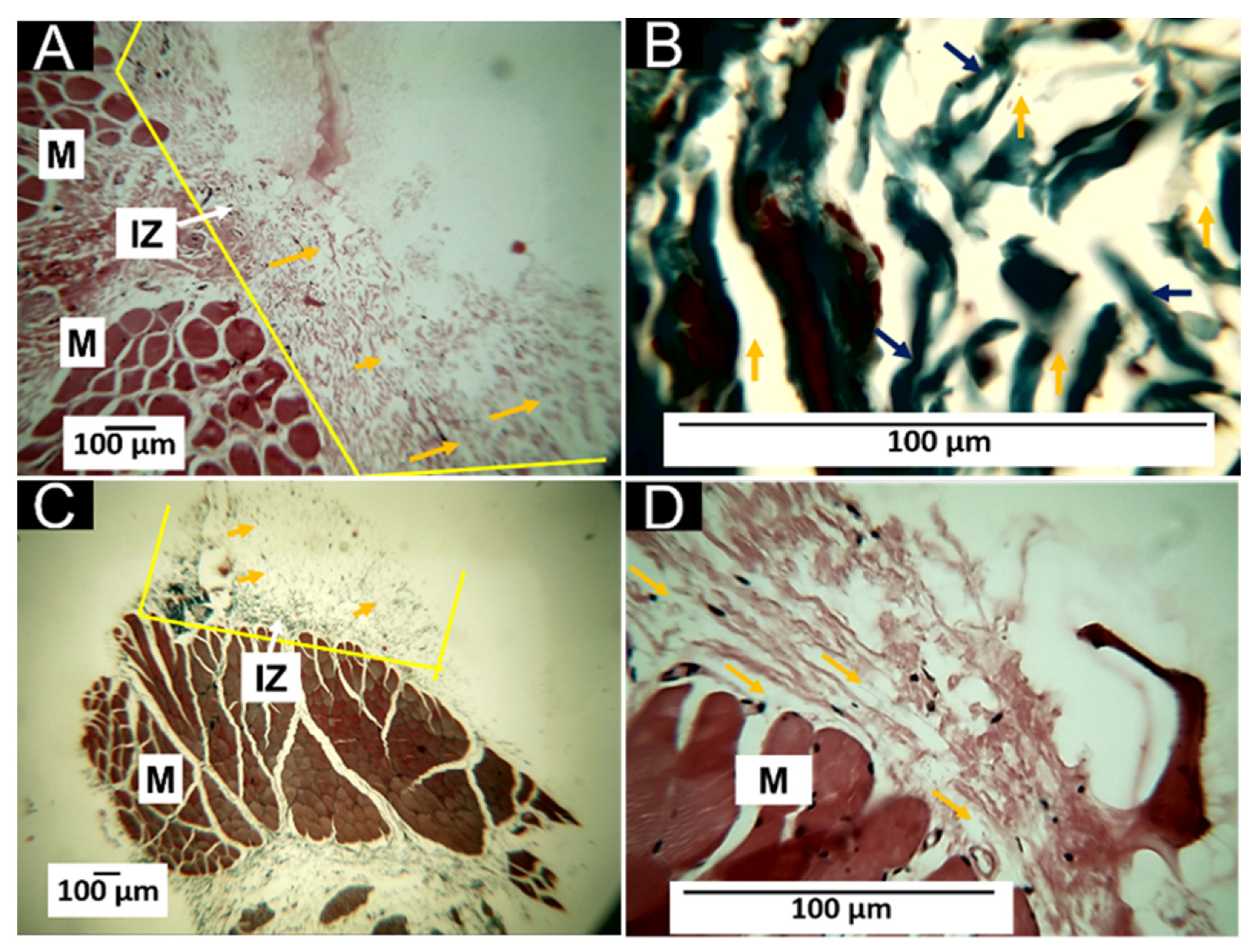 Polymers 14 03849 g008