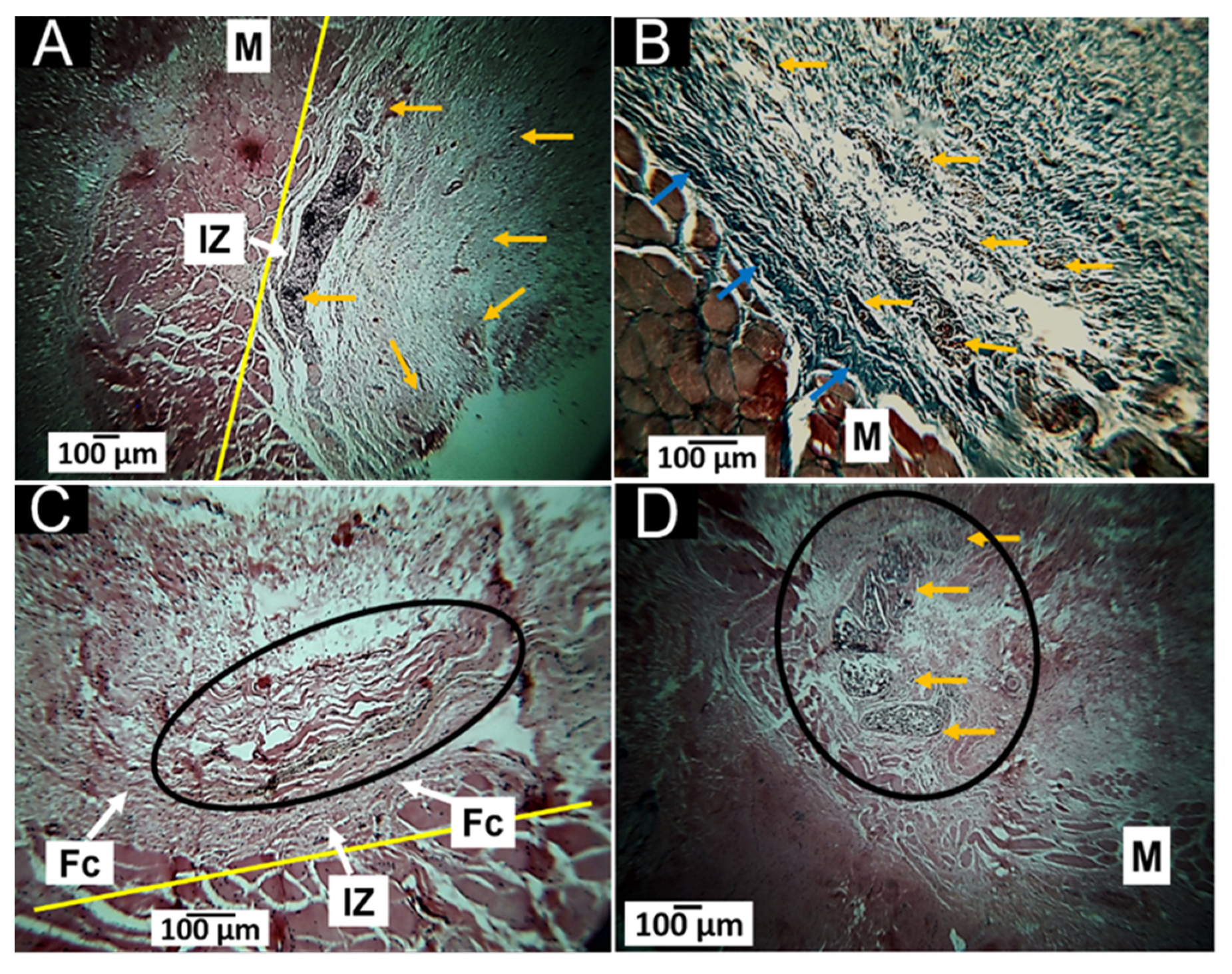Polymers 14 03849 g011