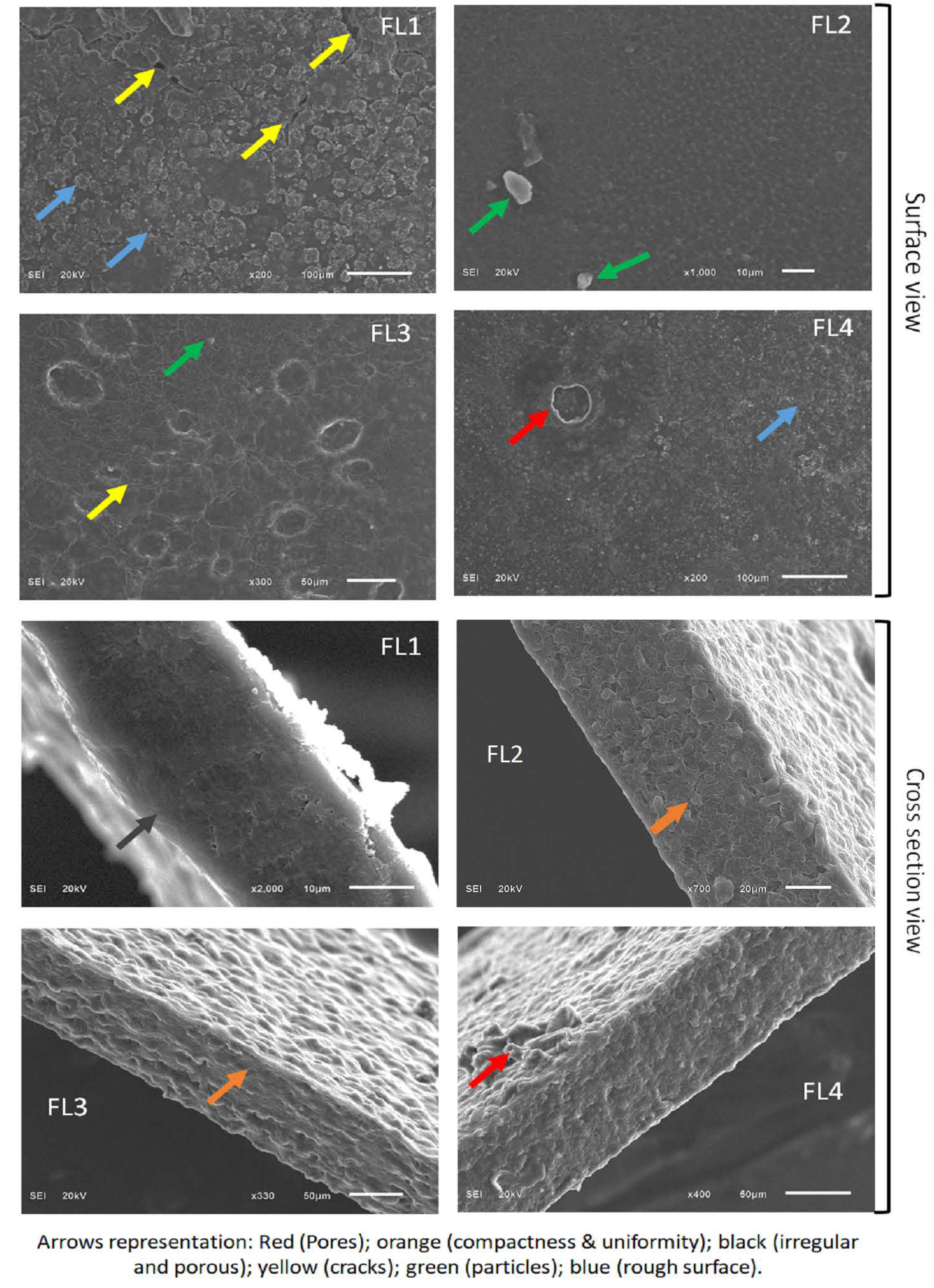 Polymers 14 03855 g005