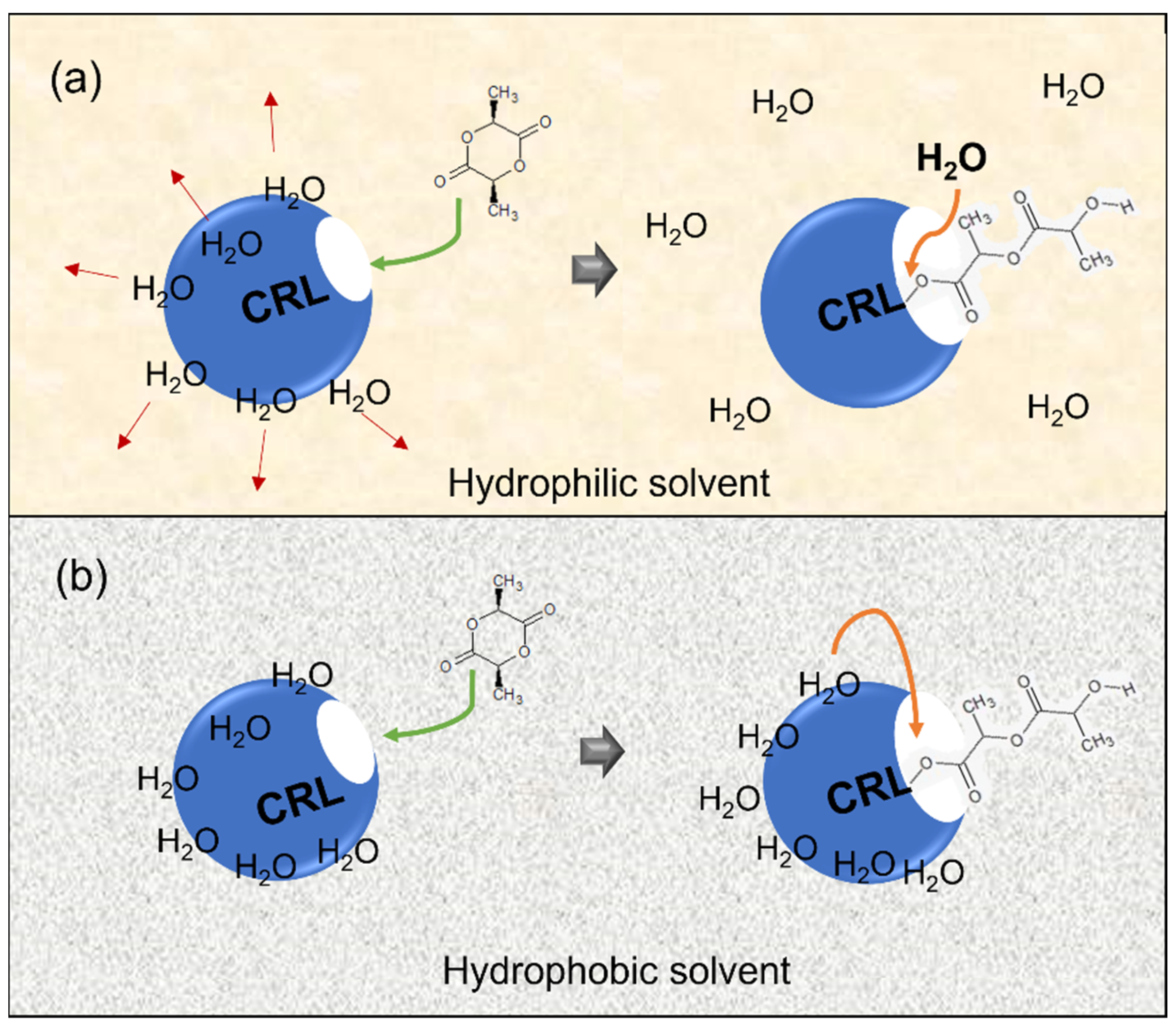 Polymers 14 03856 g005 550