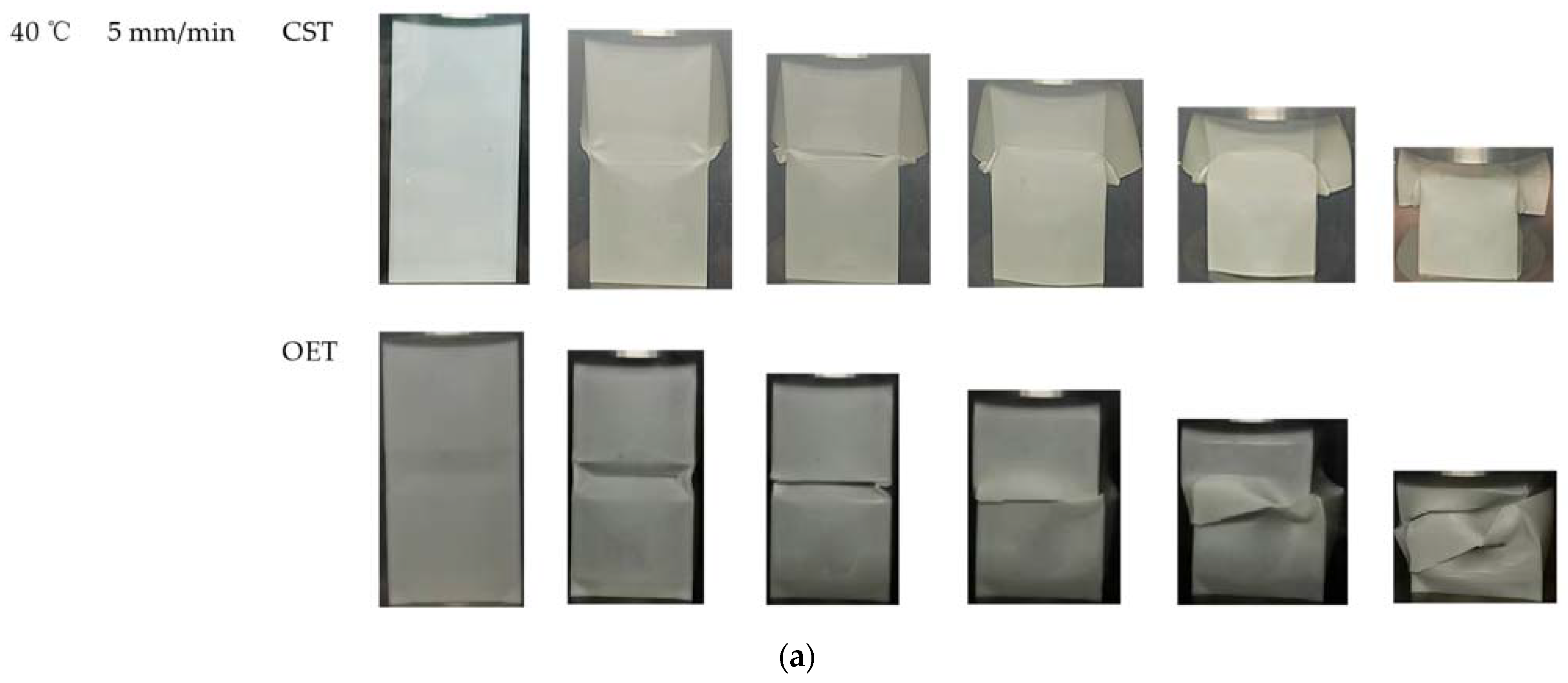 Polymers 14 03859 g012a