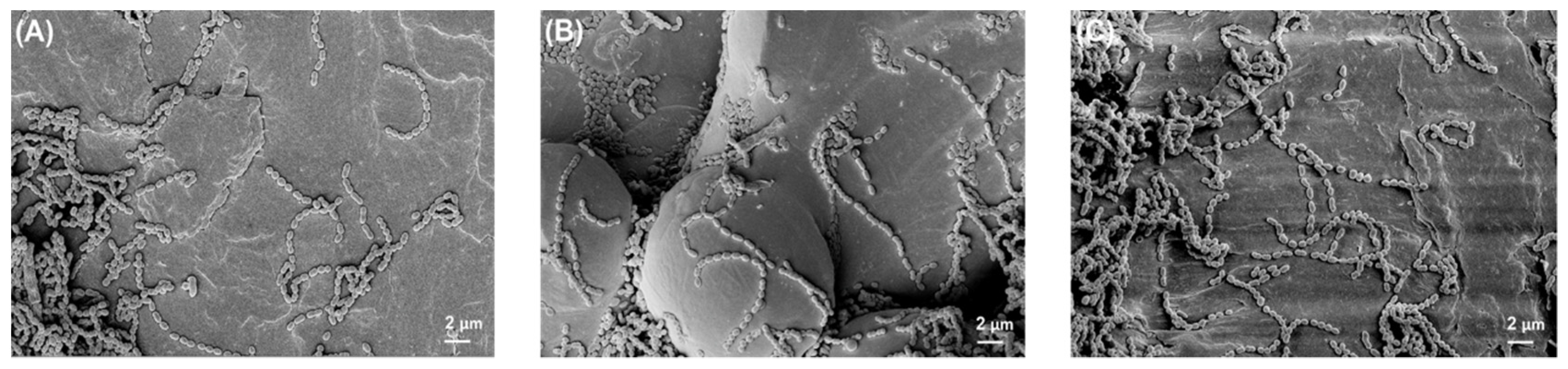 Polymers 14 03862 g003 Polymers 14 03862 g003