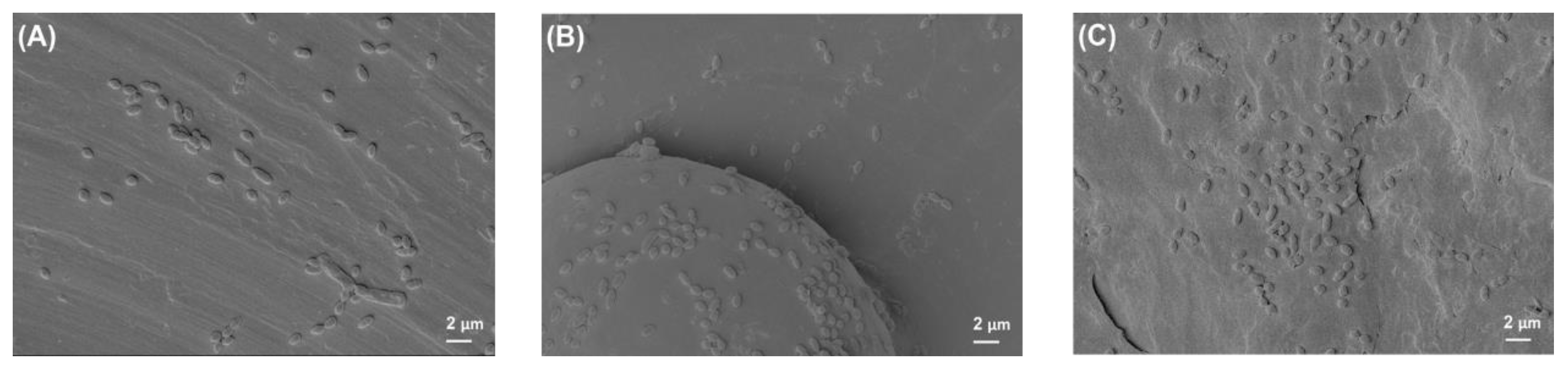 Polymers 14 03862 g005 Polymers 14 03862 g005