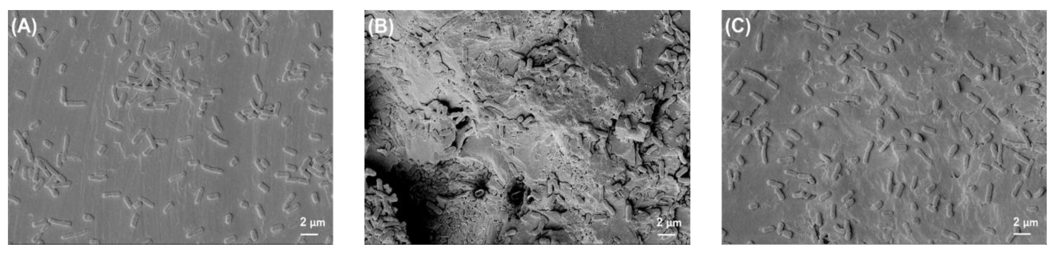 Polymers 14 03862 g006 Polymers 14 03862 g006