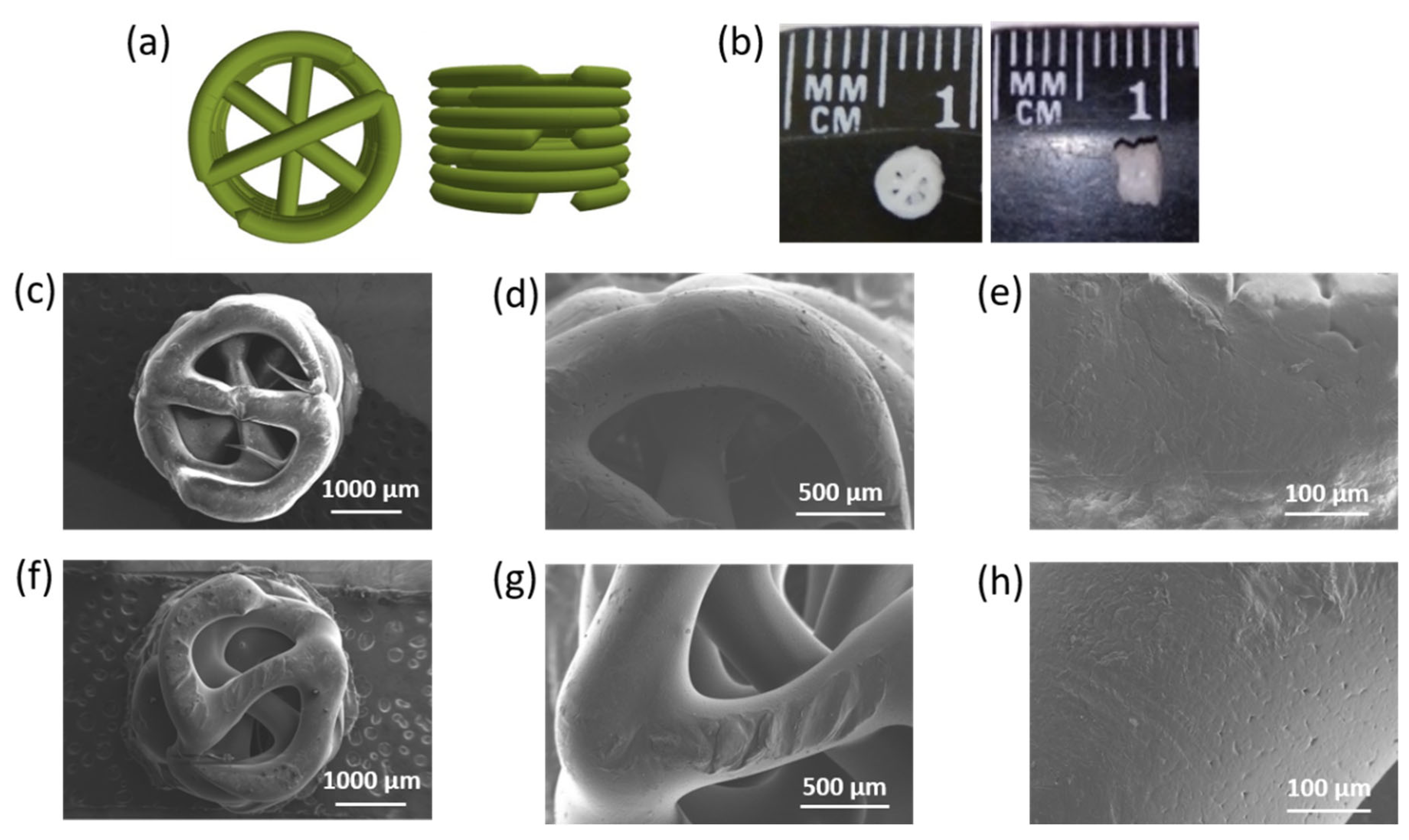 Polymers 14 03864 g007 Polymers 14 03864 g007