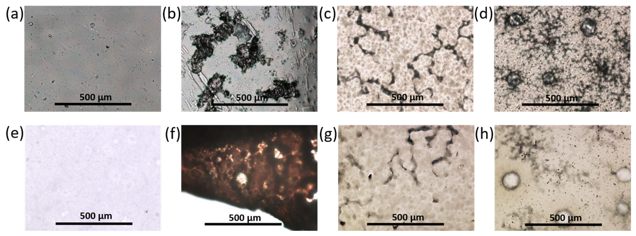 Polymers 14 03864 g013 Polymers 14 03864 g013