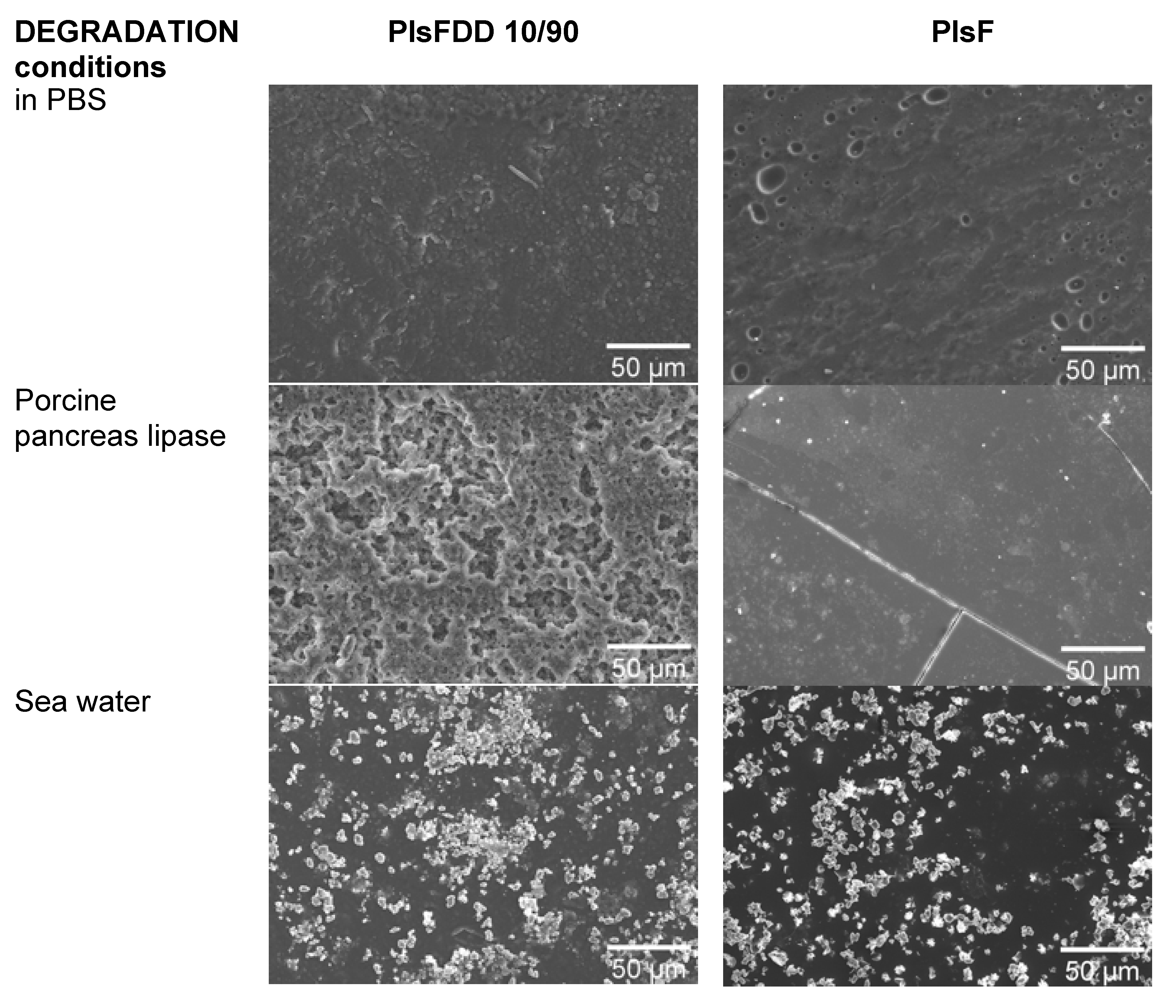 Polymers 14 03868 g006 Polymers 14 03868 g006