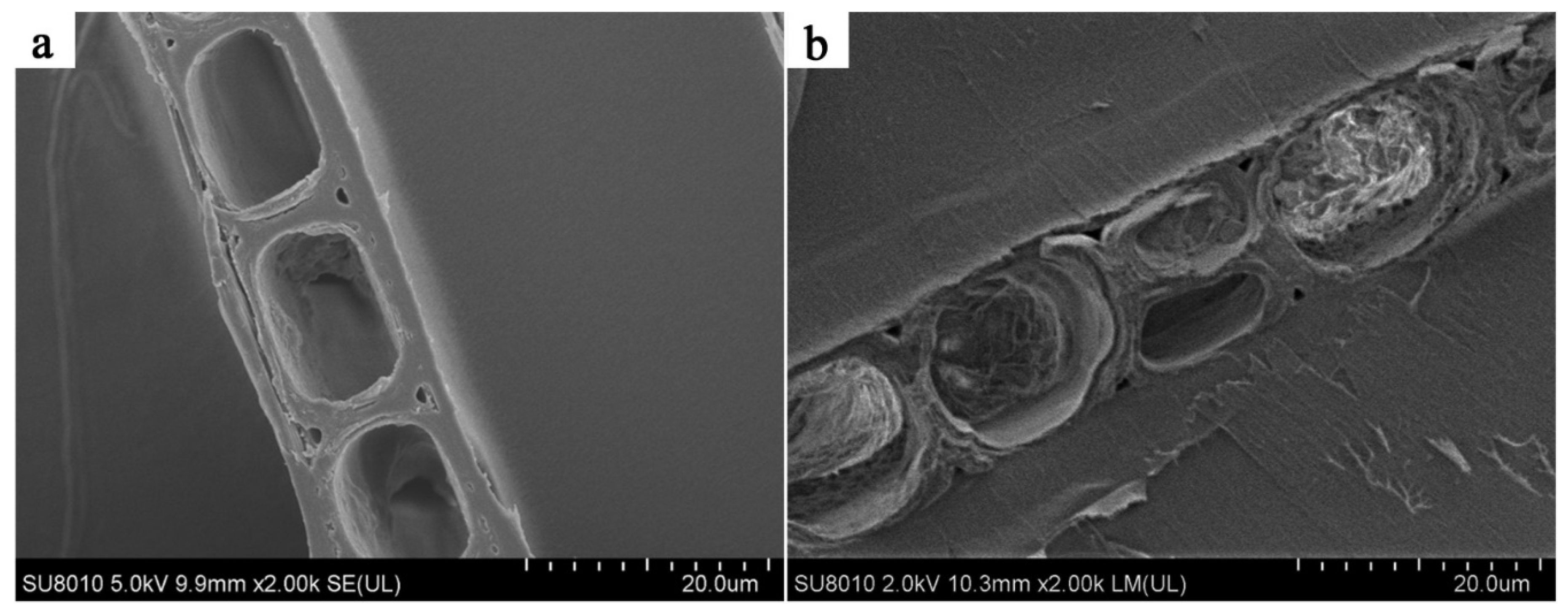Polymers 14 03871 g004 Polymers 14 03871 g004