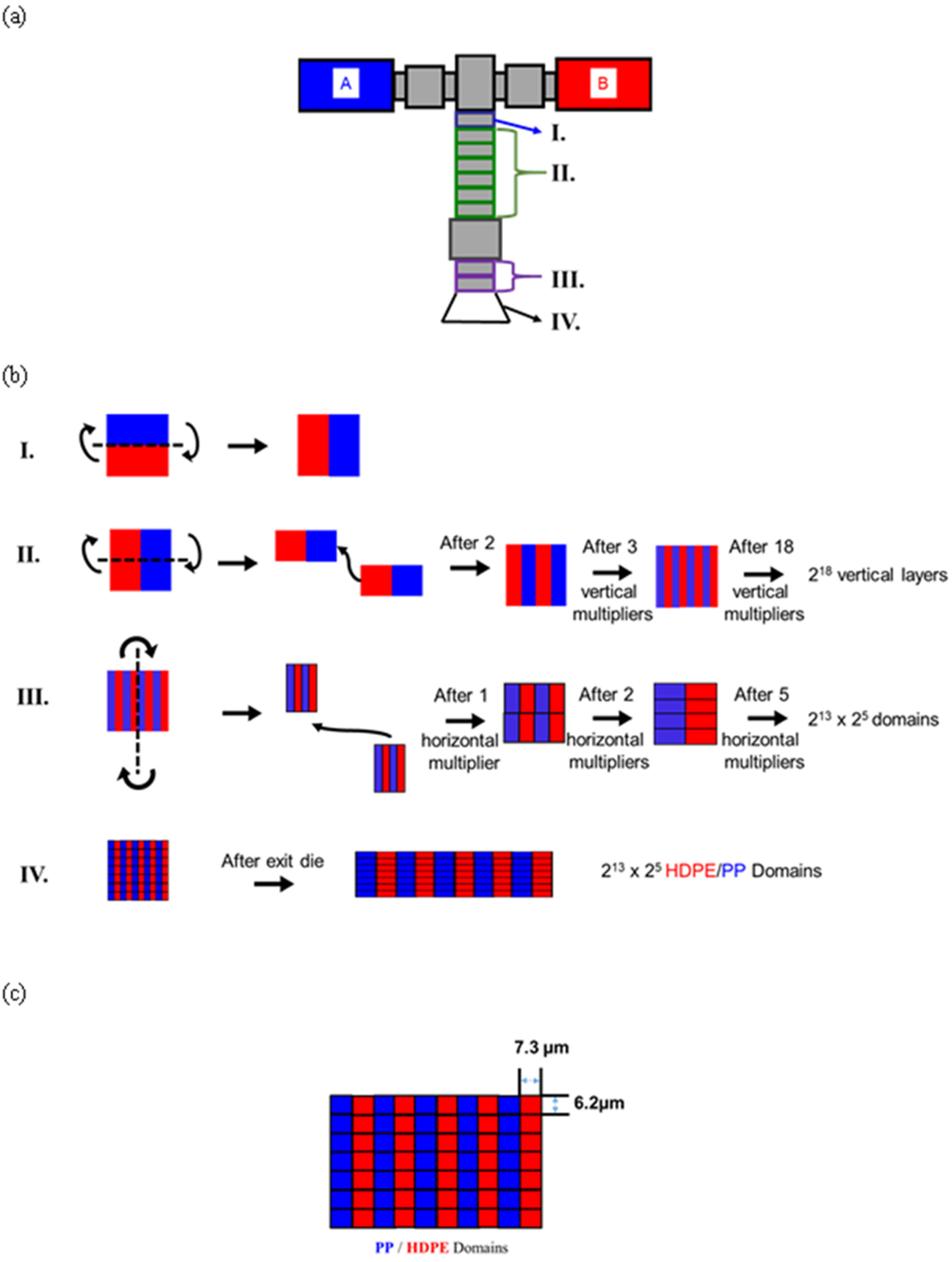 Polymers 14 03872 g001
