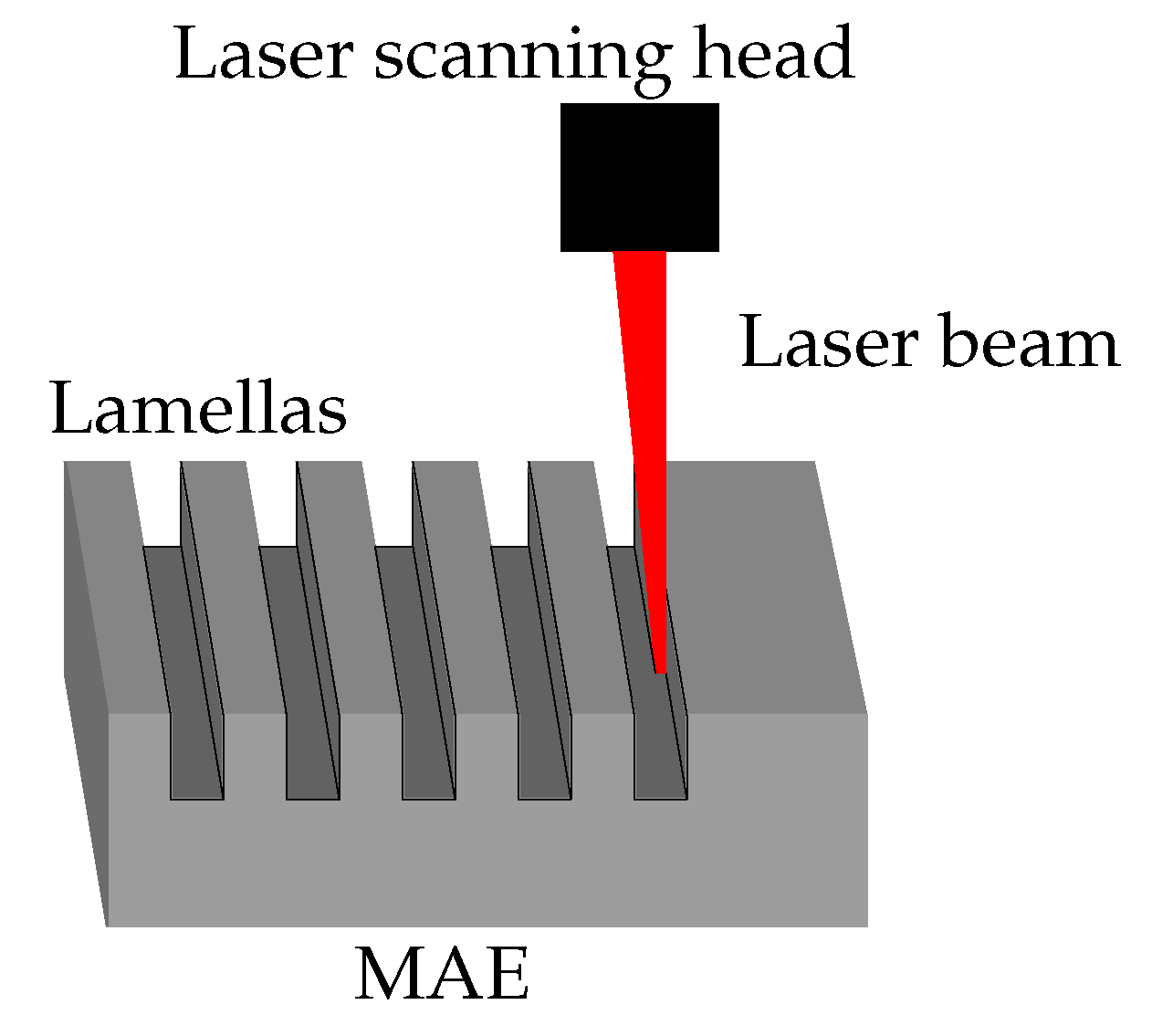 Polymers 14 03883 g004 Polymers 14 03883 g004