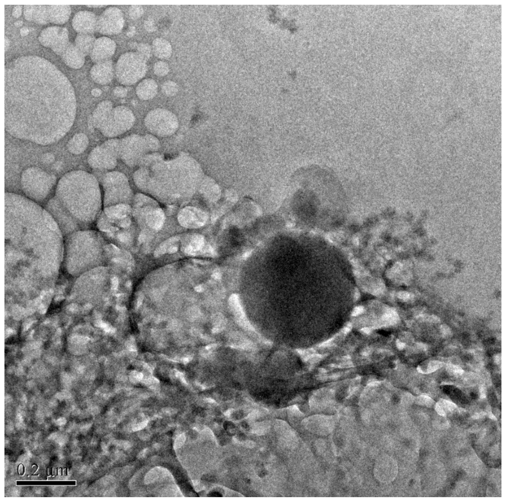 Polymers 14 03886 g004 Polymers 14 03886 g004