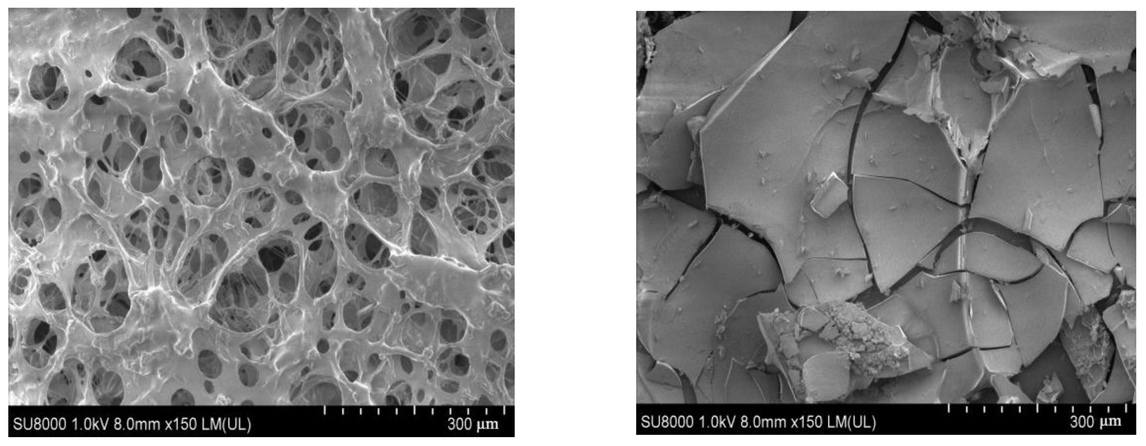 Polymers 14 03894 g006