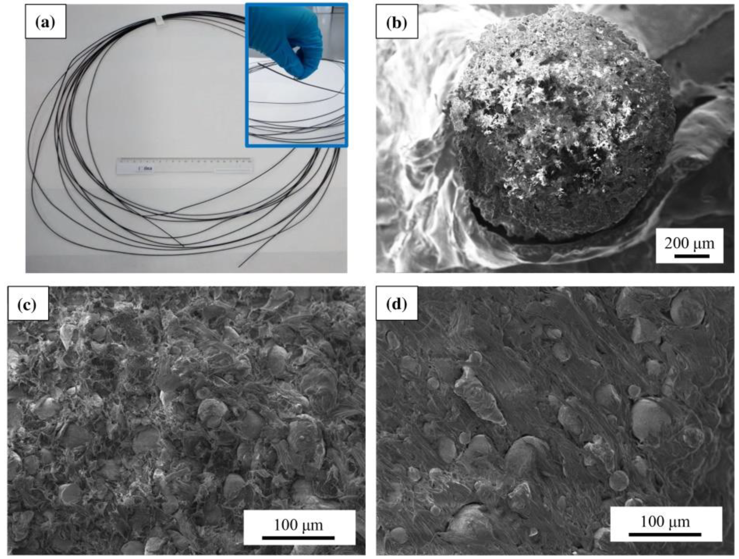 Polymers 14 03895 g002 550