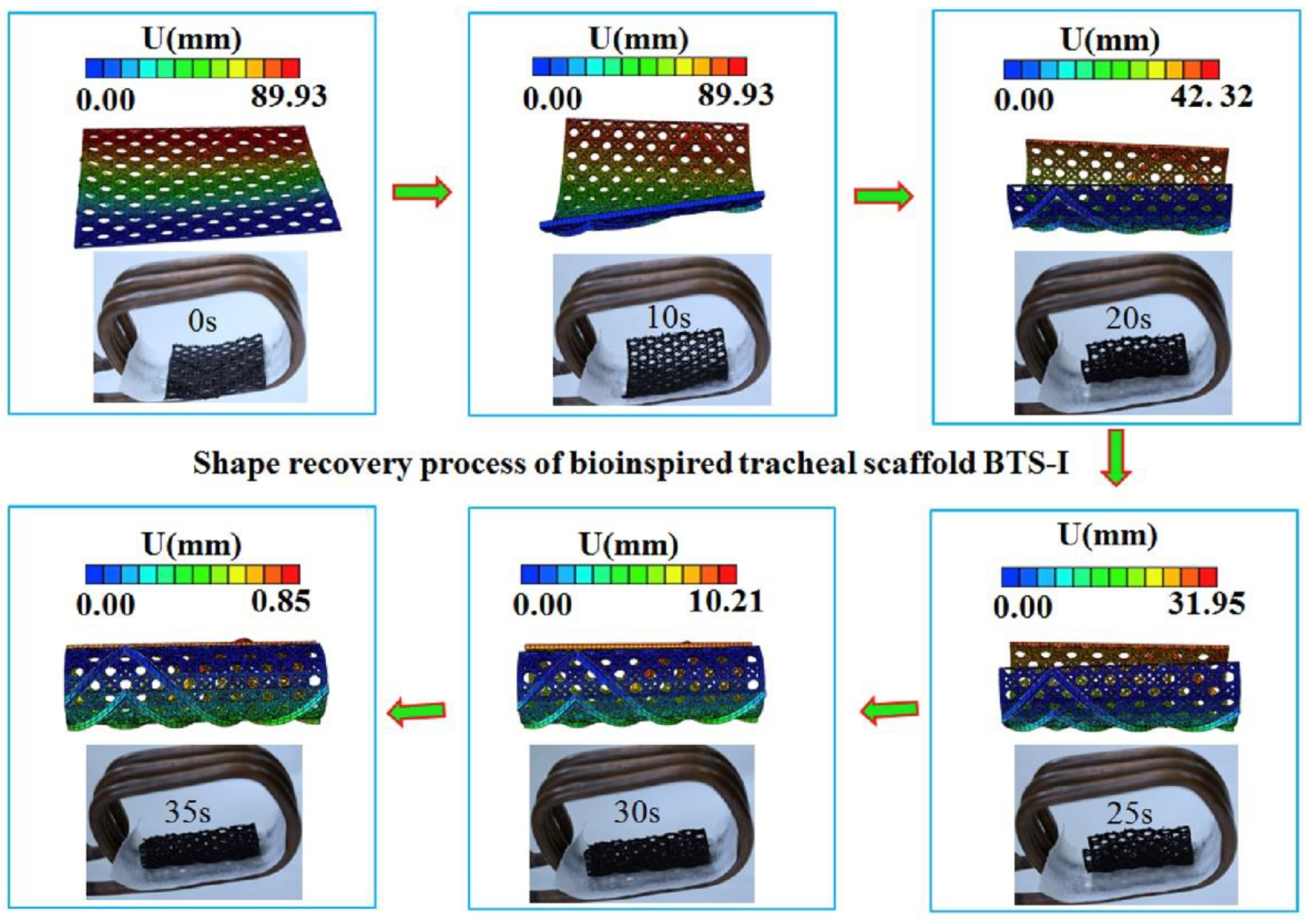 Polymers 14 03895 g009