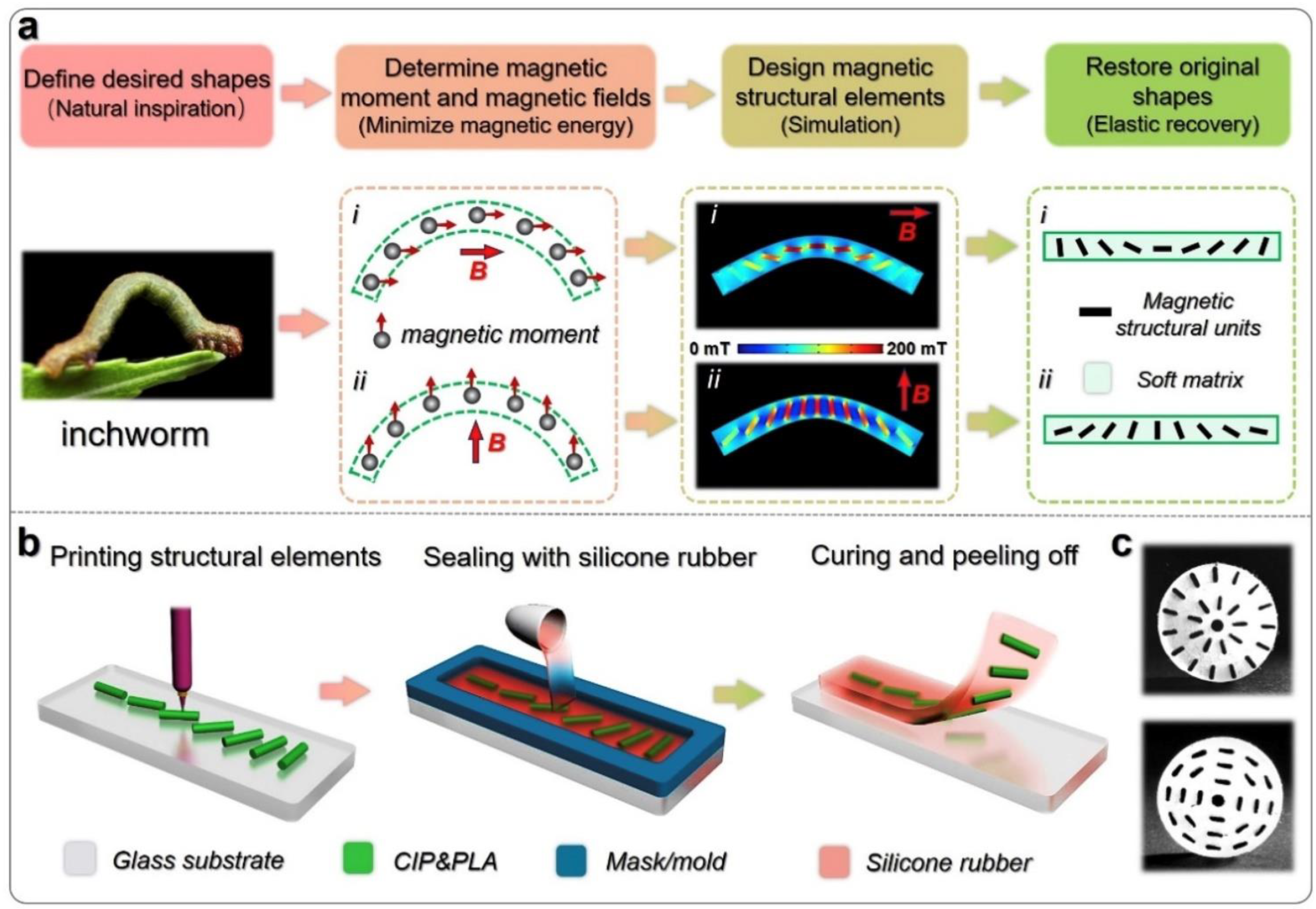 Polymers 14 03895 g010
