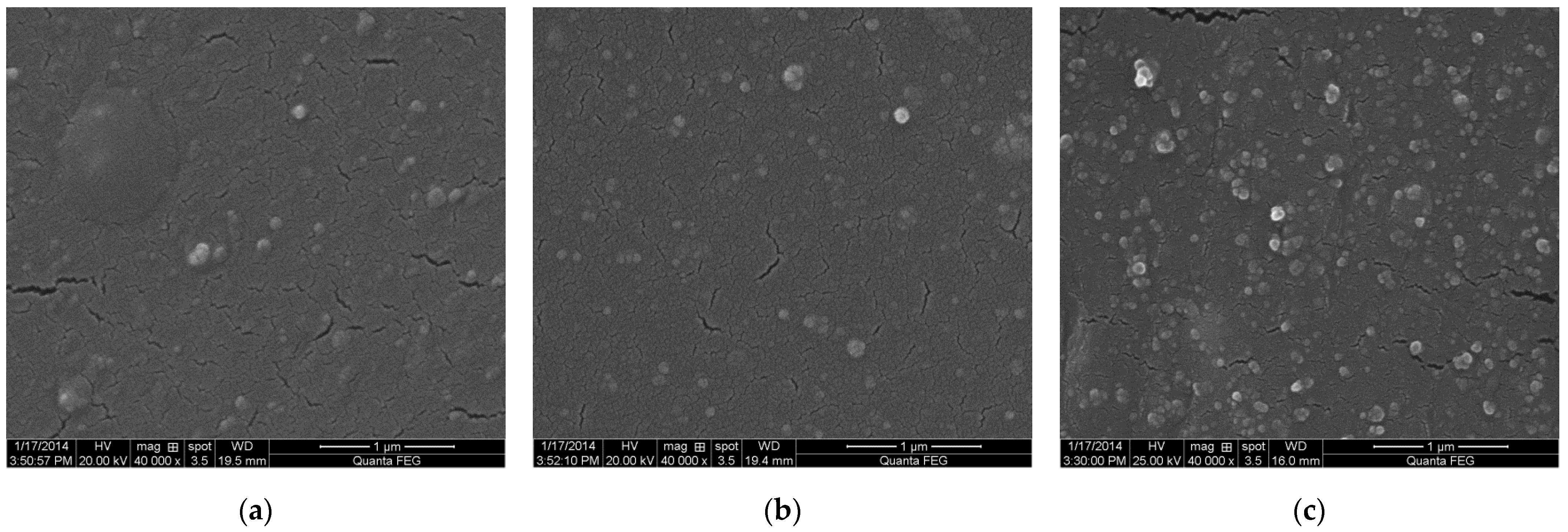 Polymers 14 03897 g001