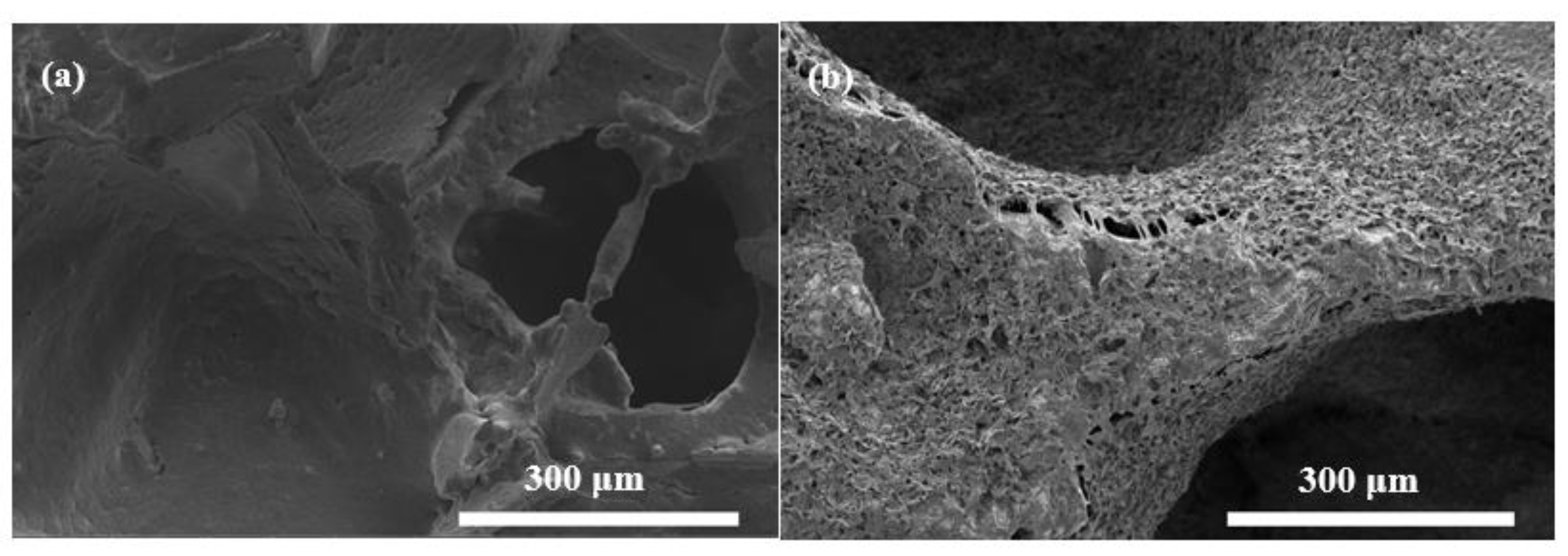 Polymers 14 03898 g003