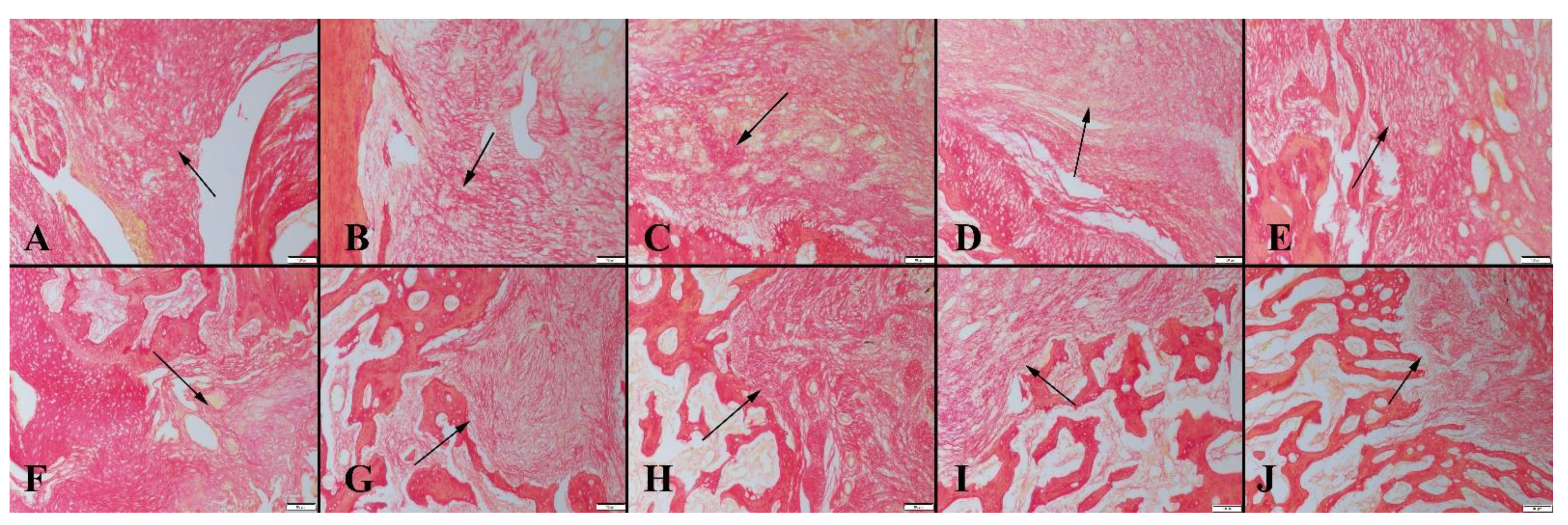 Polymers 14 03898 g008