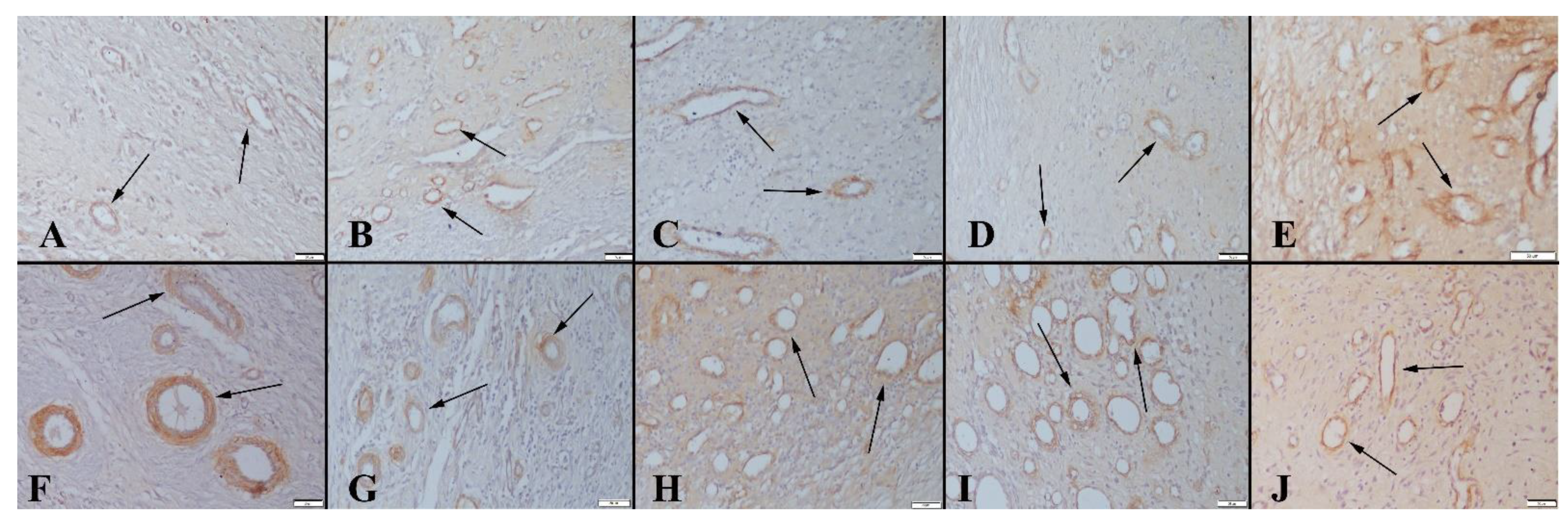 Polymers 14 03898 g010