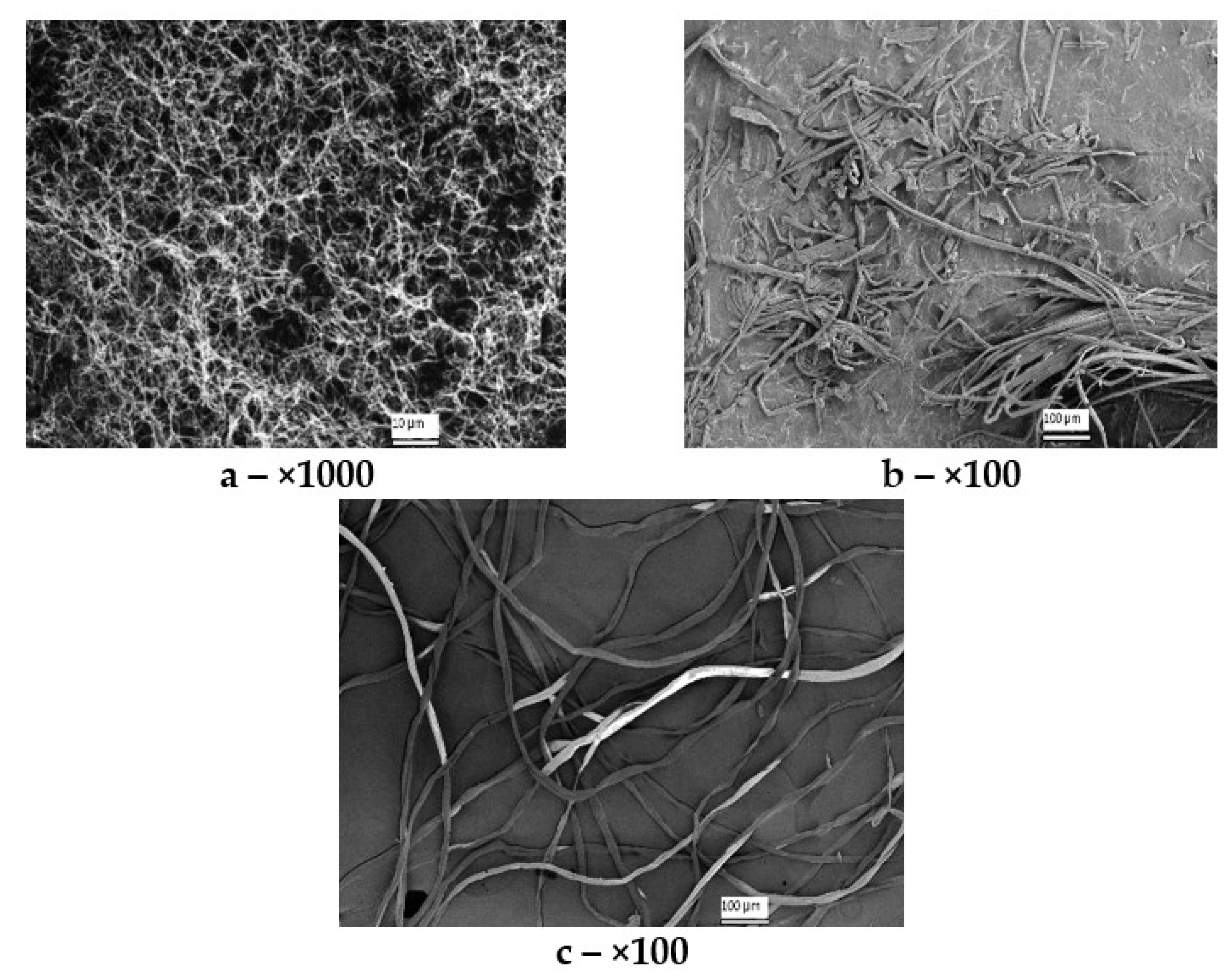 Polymers 14 03899 g003