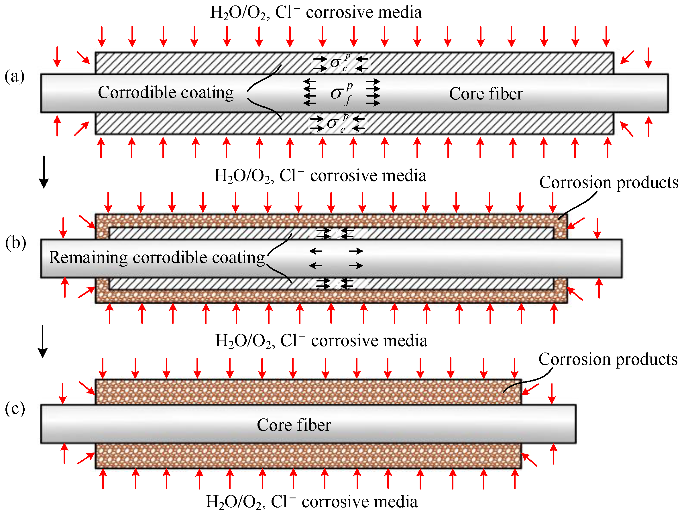 Polymers 14 03902 g002