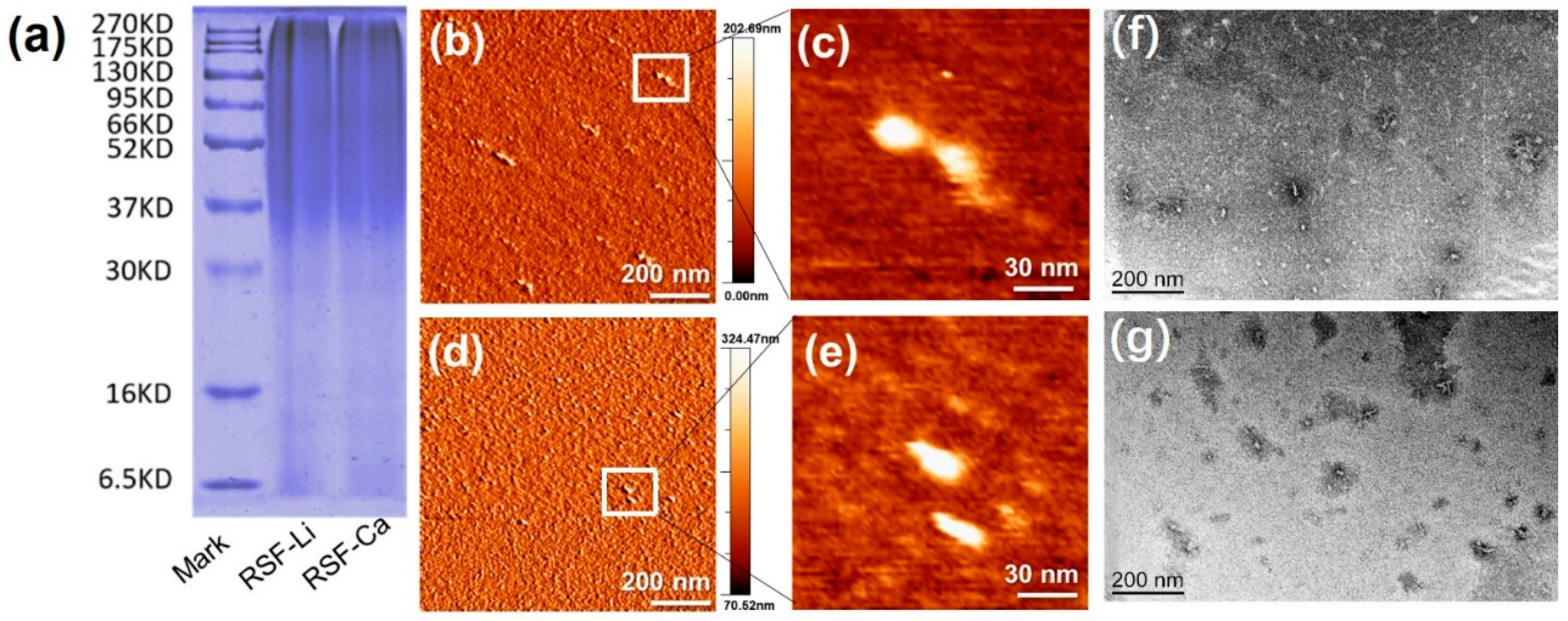 Polymers 14 03903 g001 Polymers 14 03903 g001