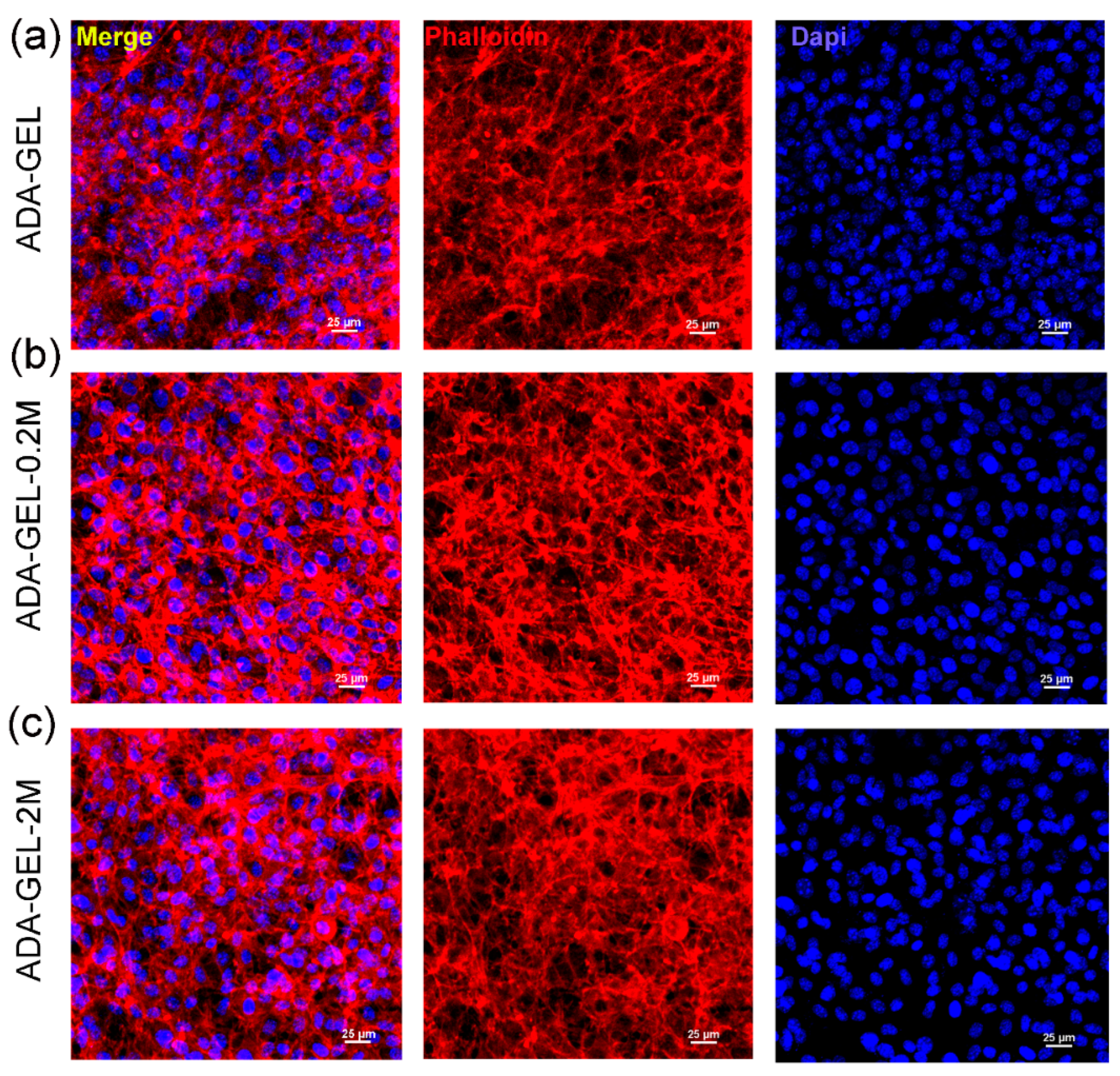 Polymers 14 03908 g005 550